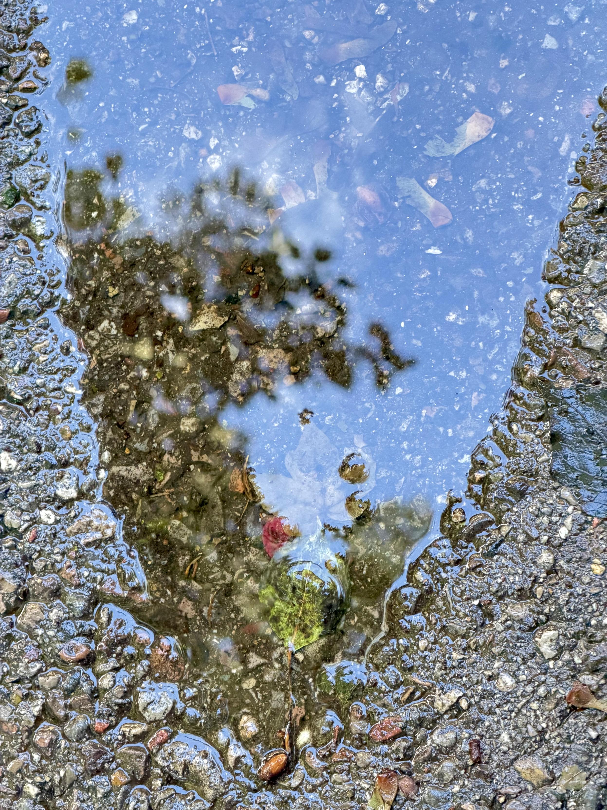 A shallow puddle on rough gravel, reflecting blue sky and the blurred silhouette of a tree. Stones, leaves, water and reflection overlap, making surface and depth difficult to separate.
