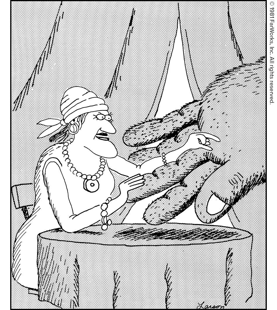 The Far Side Bot (@farside_bot@mastodon.social)