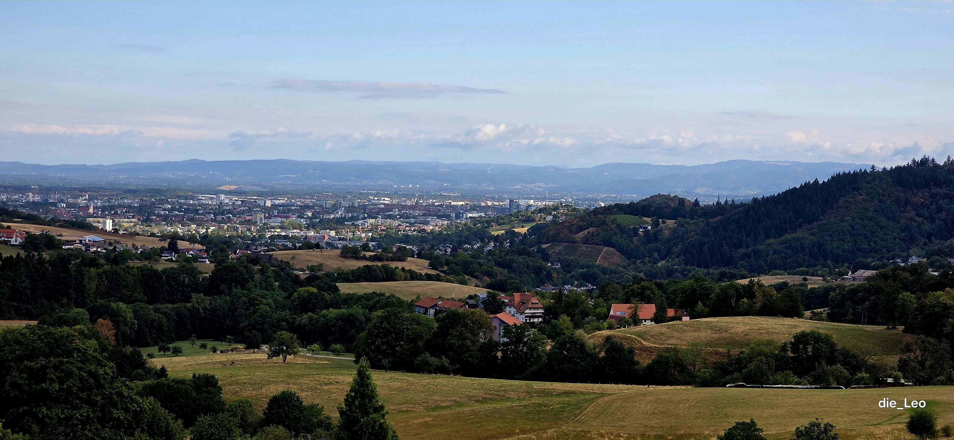Panoramablick von oberhalb Biezighofen Richtung Freiburg