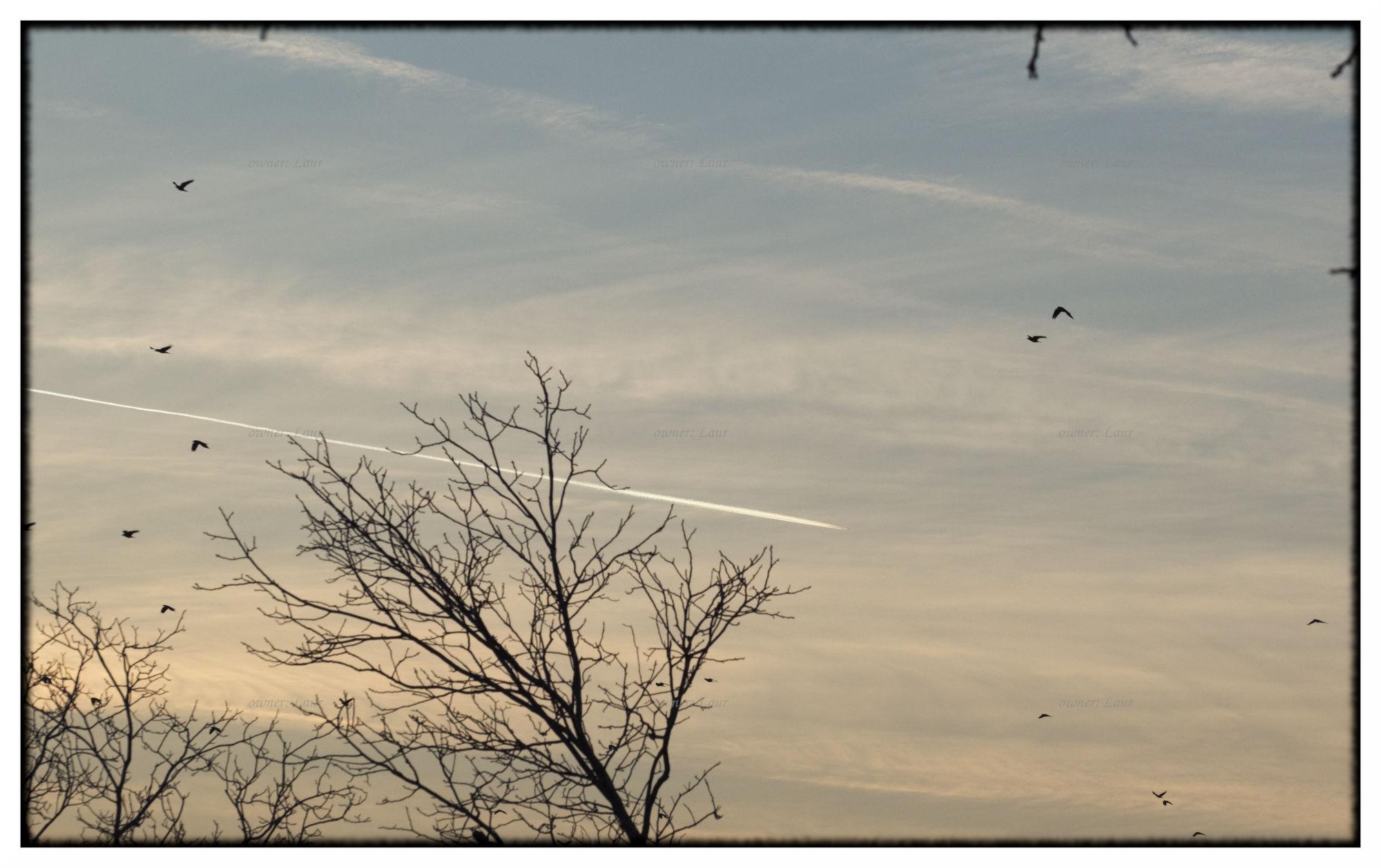 Airplane, color, photo