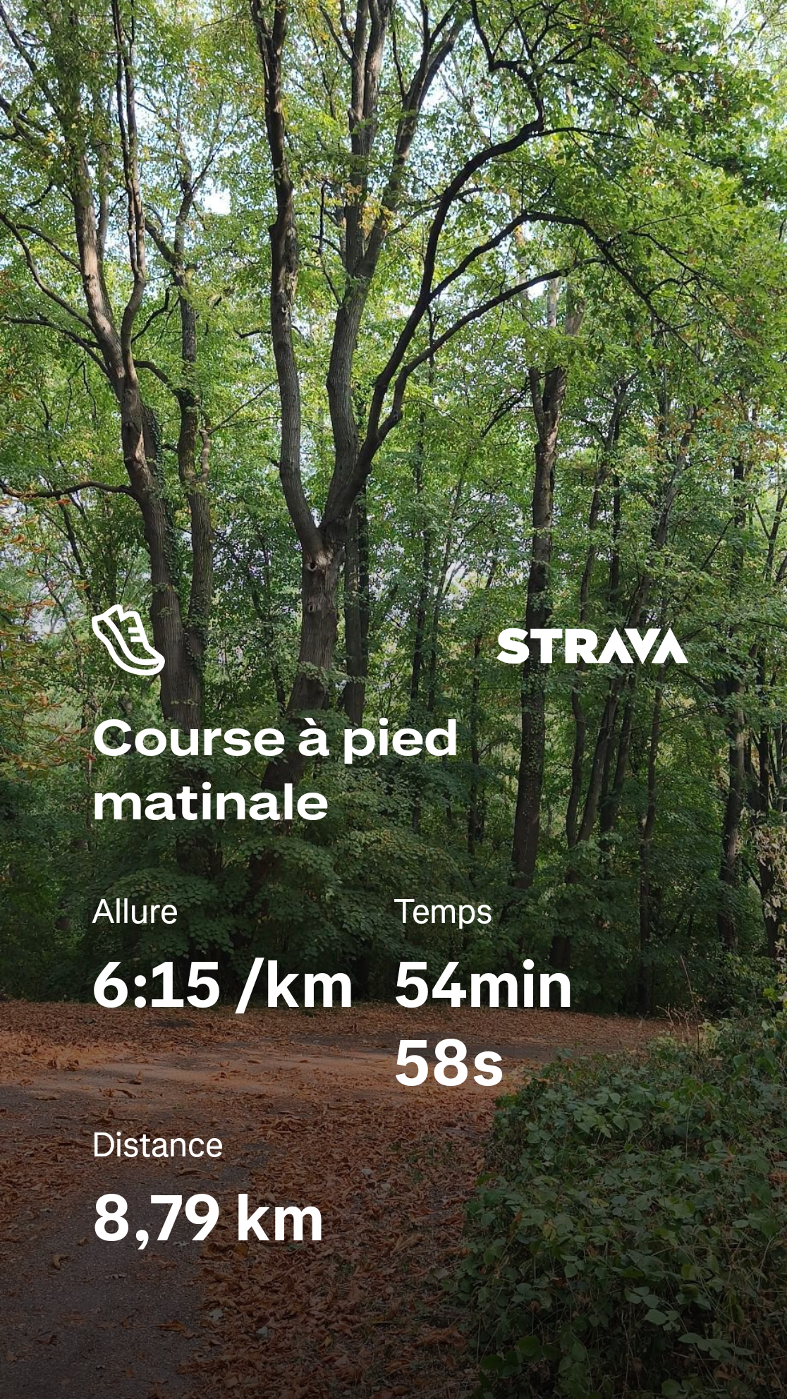 Capture Strava sur une photo d’un chemin en forêt, bordé de grands arbres encore verts et d’un tapis de feuilles brunes. Le sentier descend au milieu des bois. Les données indiquent une course matinale de 8,79 km en 54 min 58 s, à une allure moyenne de 6 min 15 s/km.