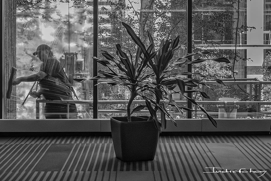A window cleaner is seen through a soapy window, from the inside of an office building.