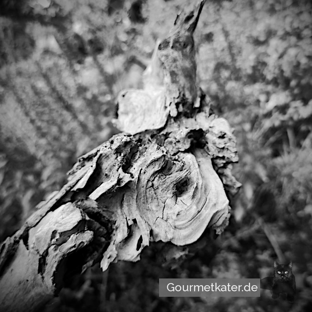 Gartenfund