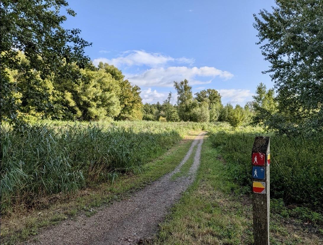 Pad in natuurgebied