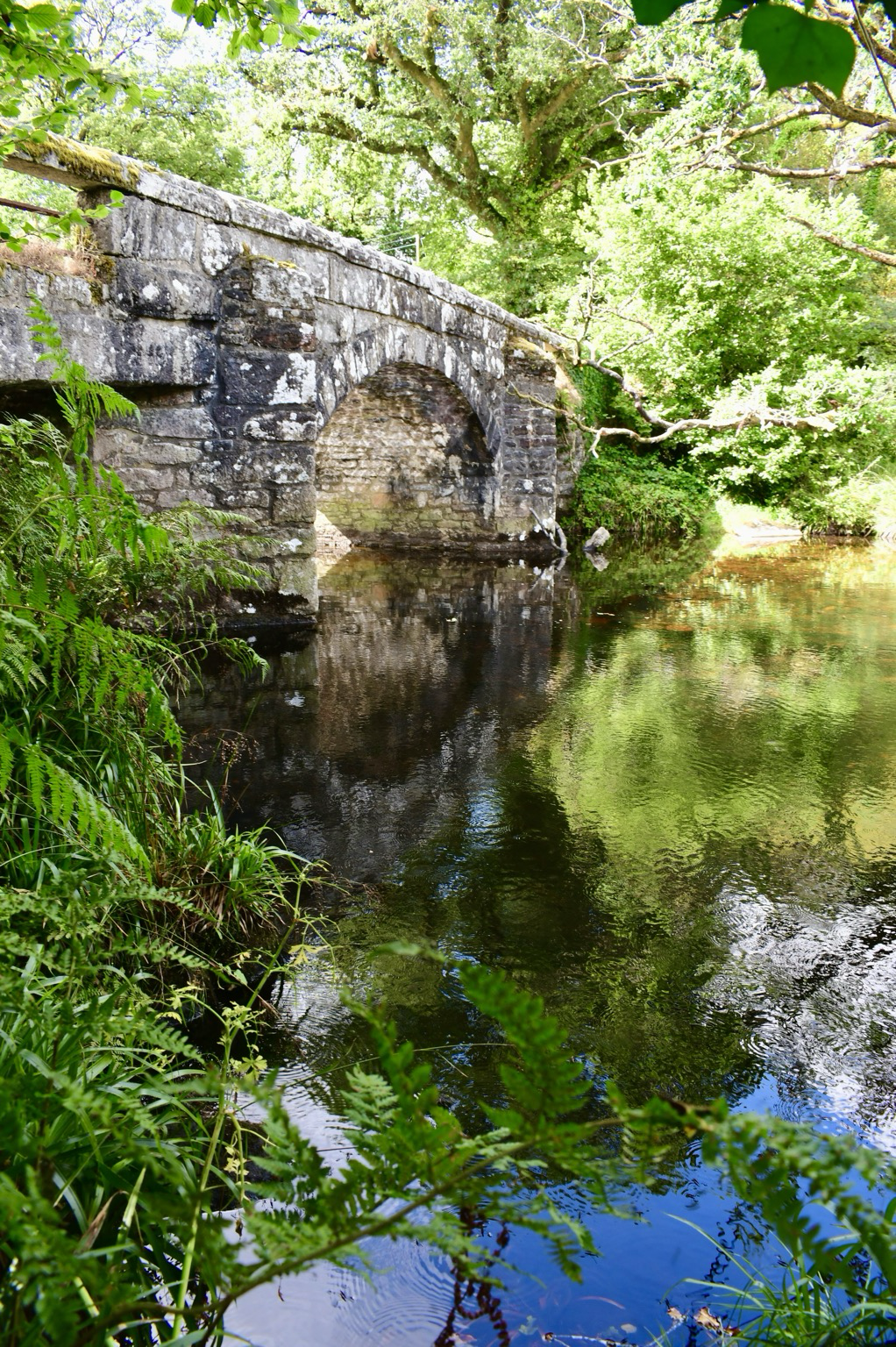 Bridge and reflective river