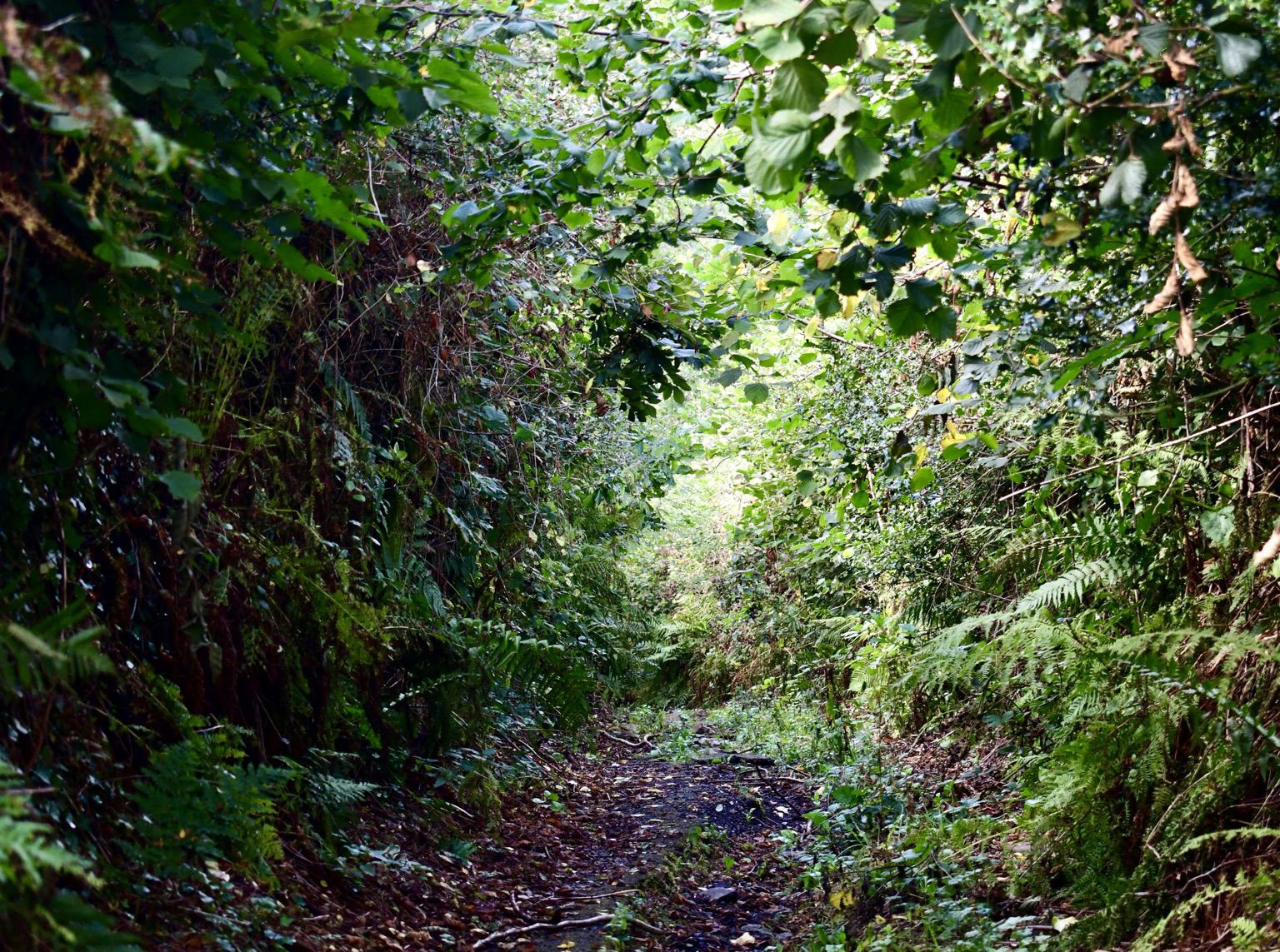 Horndon clam lane steep old footpath.