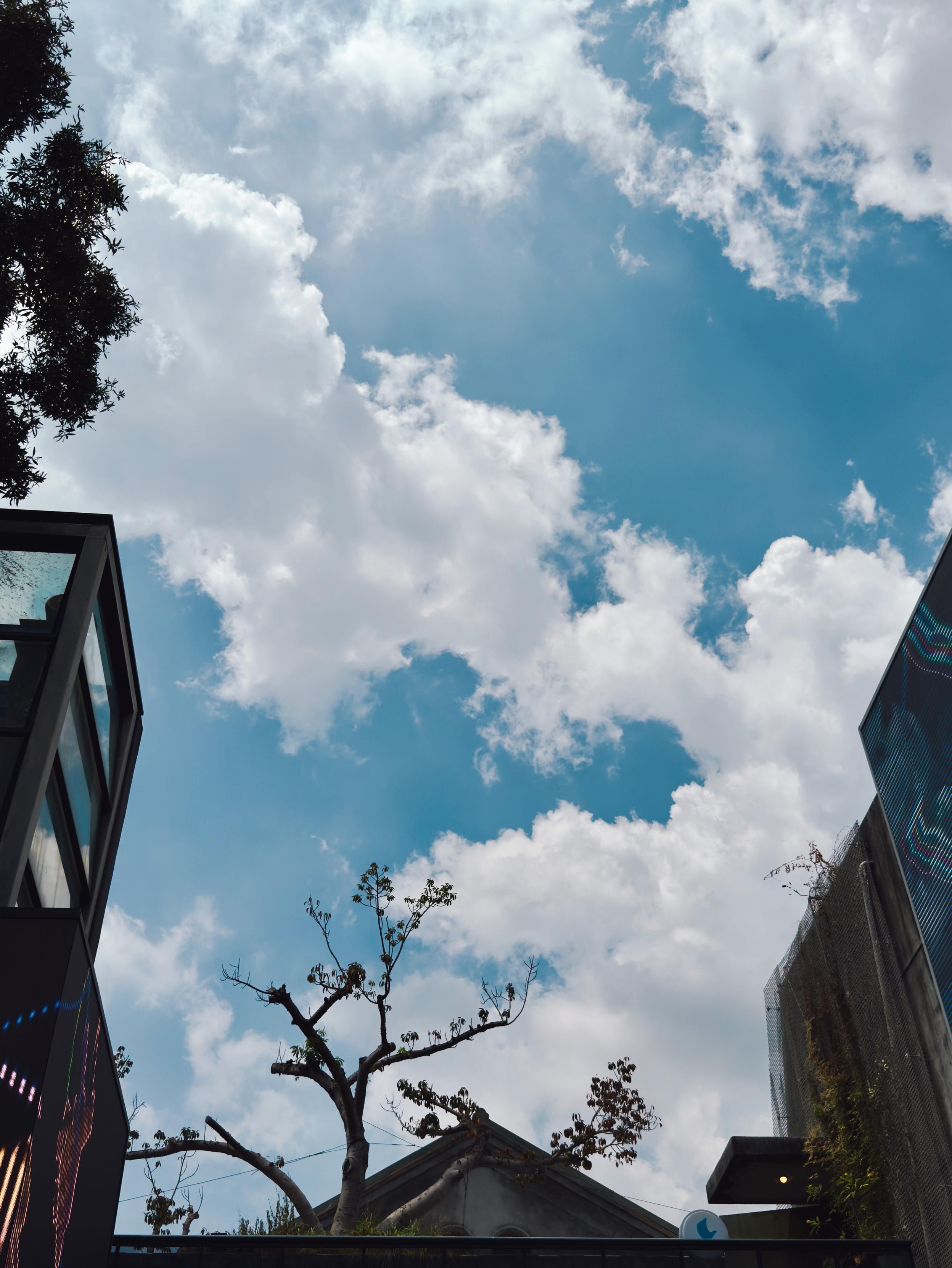 A view of the sky with scattered clouds, trees, and modern buildings with glass facades.