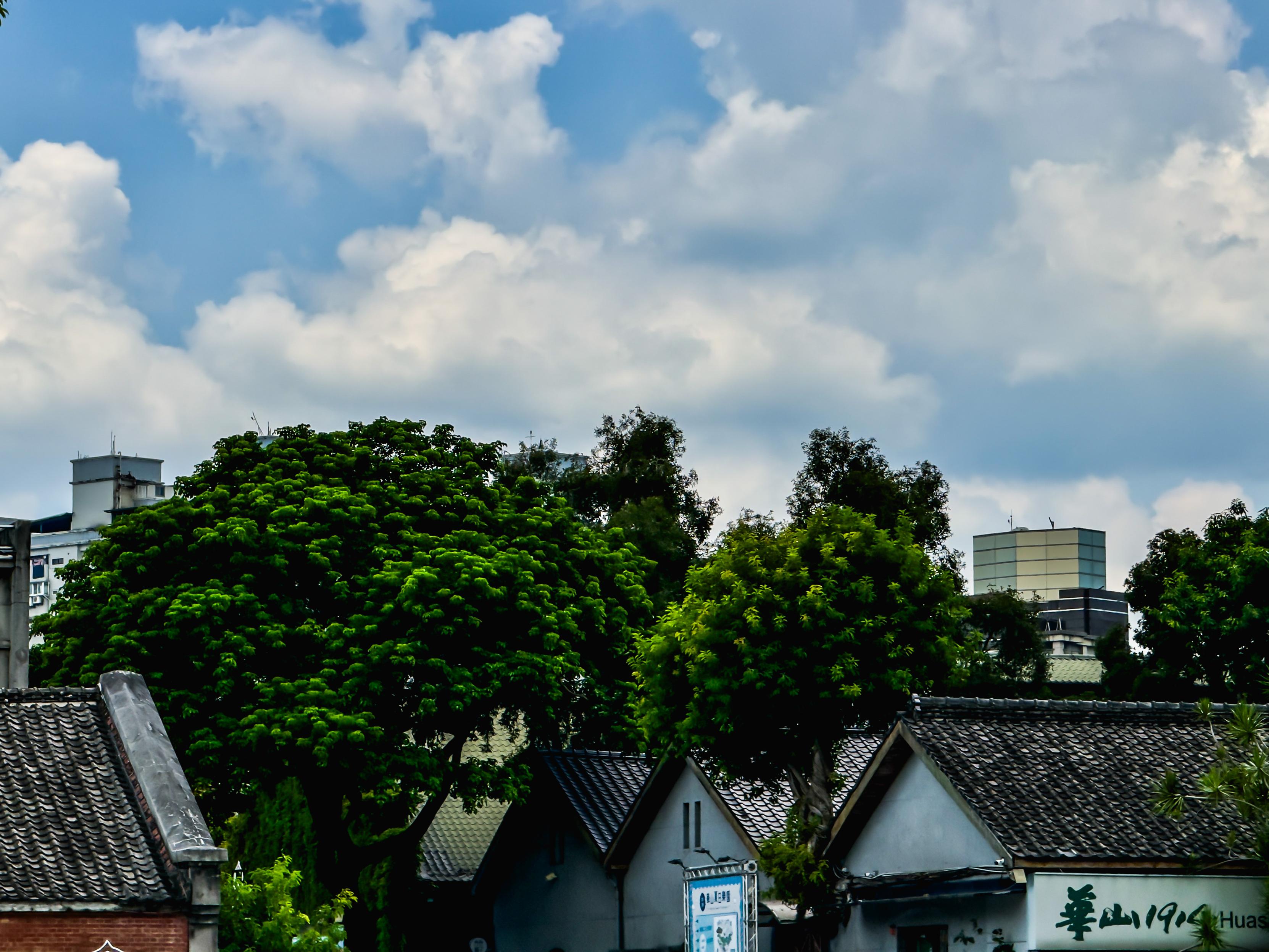 Row of traditional houses with tiled roofs, lush green trees, and modern high-rise buildings in the background under a partly cloudy sky.