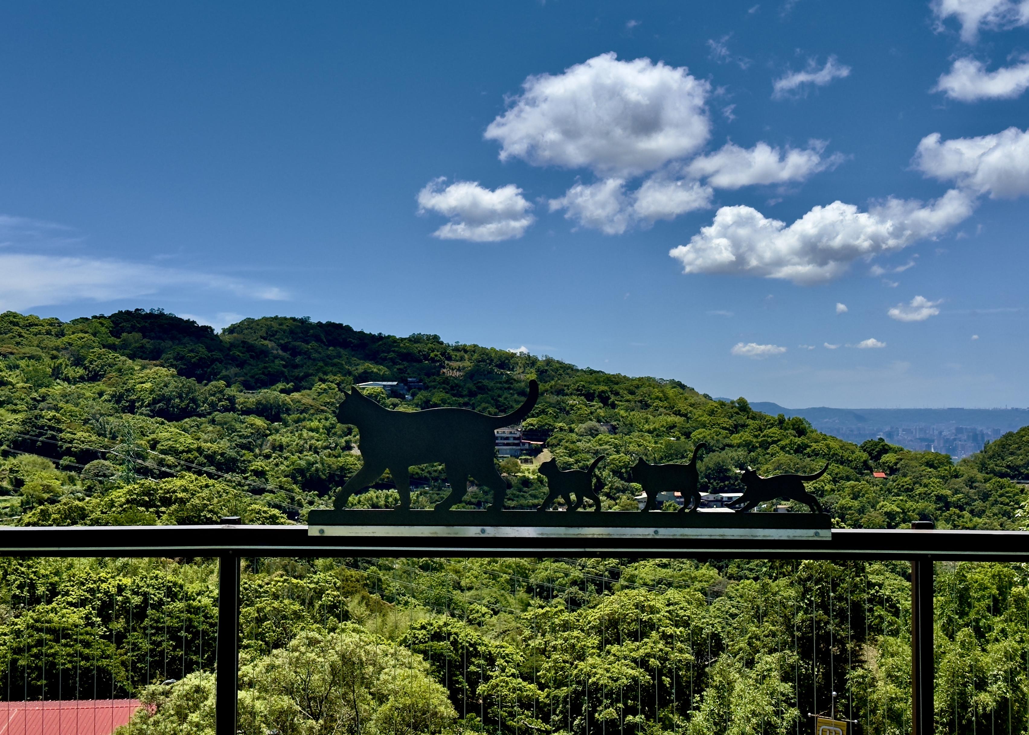 Silhouettes of four cats walking across a balcony with a green, hilly landscape and blue sky with clouds in the background.