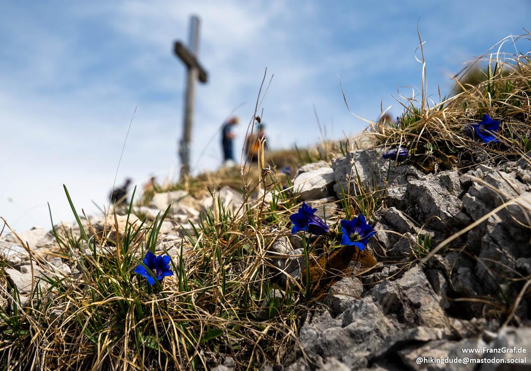 This image captures a close-up of a rugged, rocky terrain dotted with vibrant blue gentian flowers in sharp focus. The flowers, with their deep blue petals, stand out vividly against the dry, golden grass and gray rocks, creating a striking contrast. The foreground is dominated by these natural elements, drawing attention to the intricate details of the flowers and the texture of the rocks.

In the blurred background, a wooden cross is perched on a hilltop, serving as a focal point. A few people are gathered near the cross, their figures slightly out of focus, adding a sense of depth and scale to the scene. The sky above is a clear blue, with a few wispy clouds scattered across it, enhancing the serene and open atmosphere of the landscape.