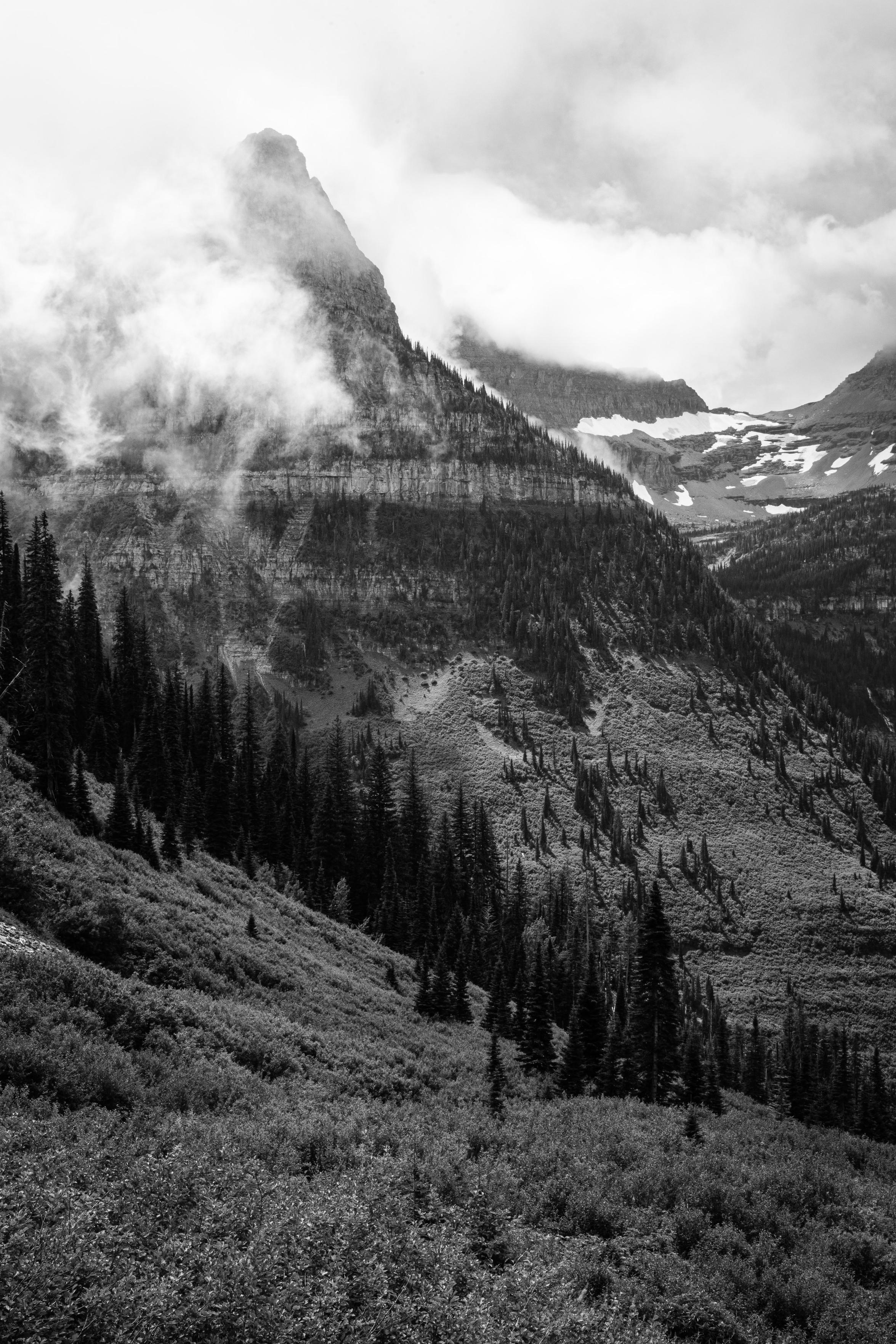 Mount Oberlin, with its summit surrounded by swirling clouds. In the foreground, a diagonal line of pine trees.