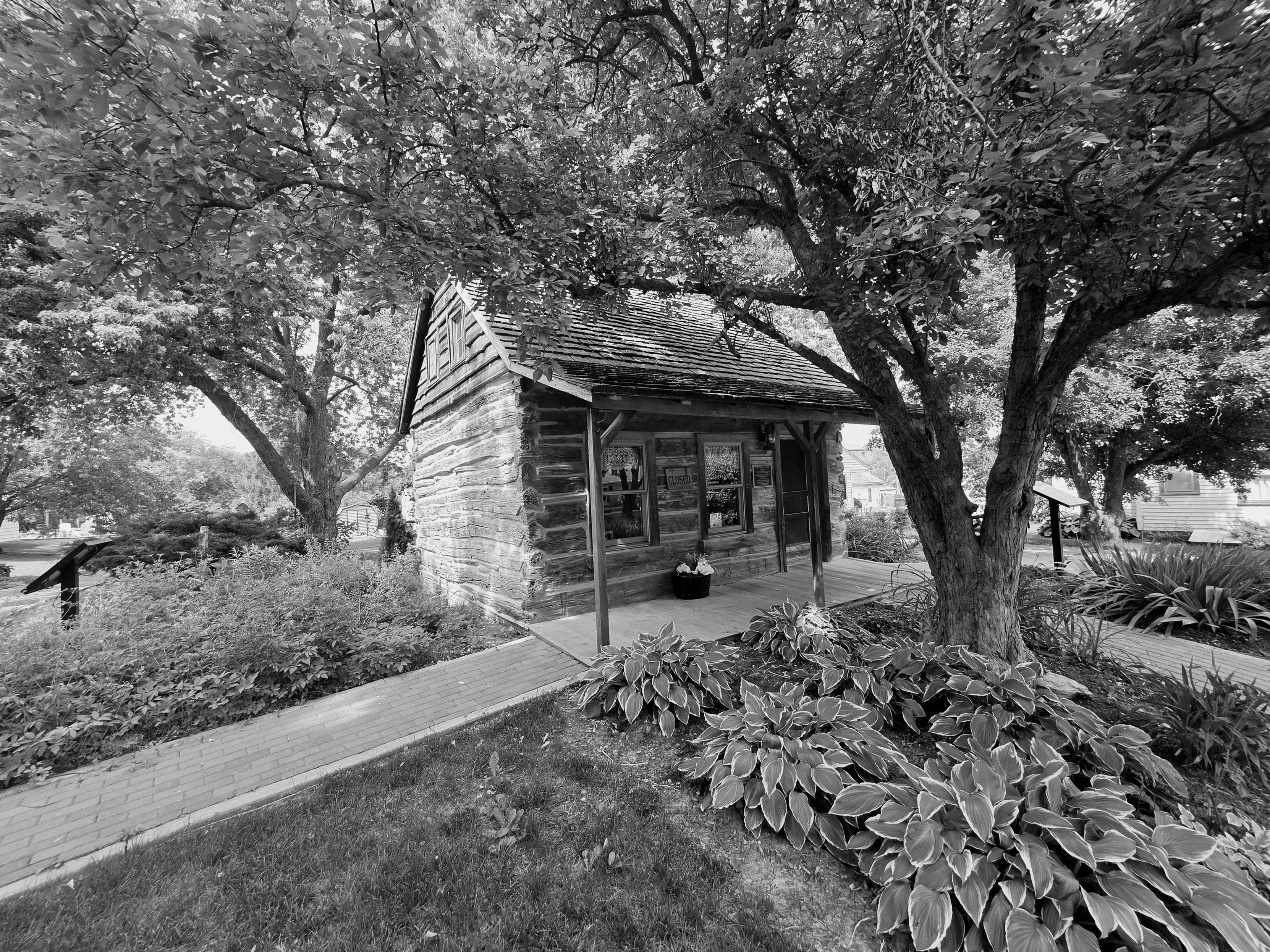 Tiny Cabin