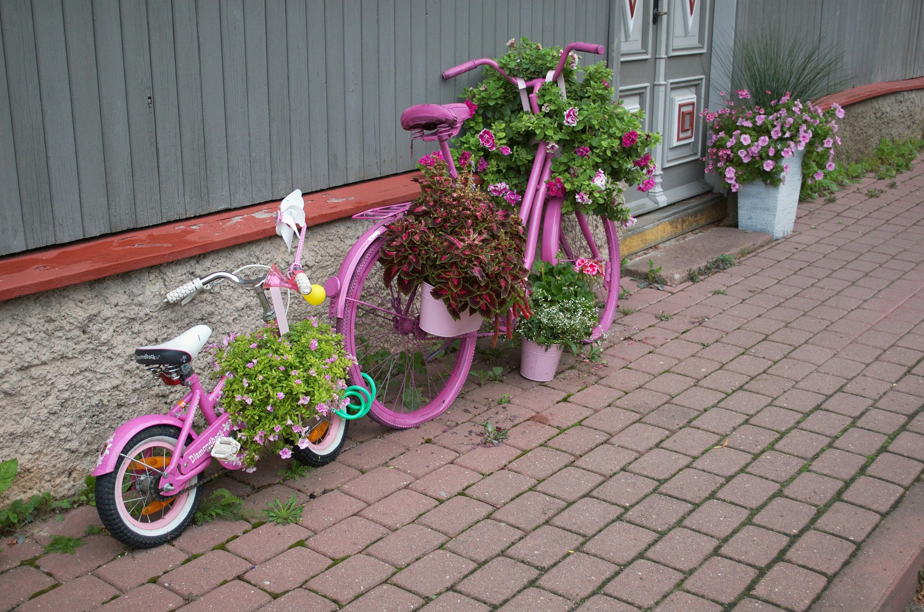 Photo of two pink bicycles leaning on a grey wooden wall. One of them is an adult model, entirely spraypainted, including the seat and tyres. The other one is a small child’s bike with a pink frame and mudflaps, not modified in any way. Both bikes have planters hanging from them, overflowing with white, pink and red flowers.