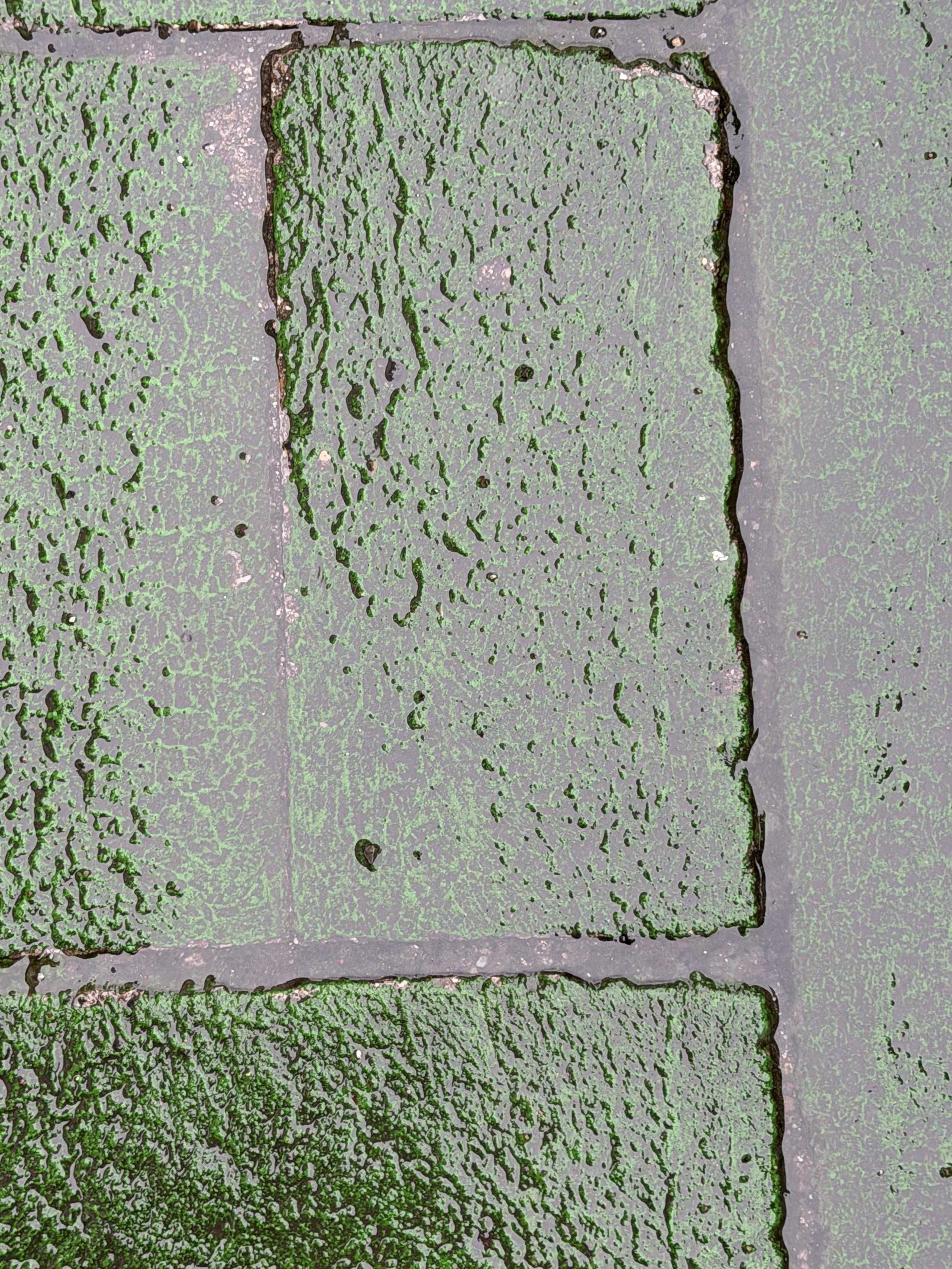 Close-up of worn green paving stones, their rough surfaces divided by irregular grey seams, with a tiny dark heart-shaped mark near the centre.