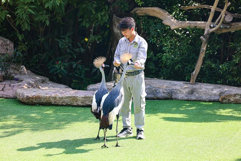 safari phu quoc