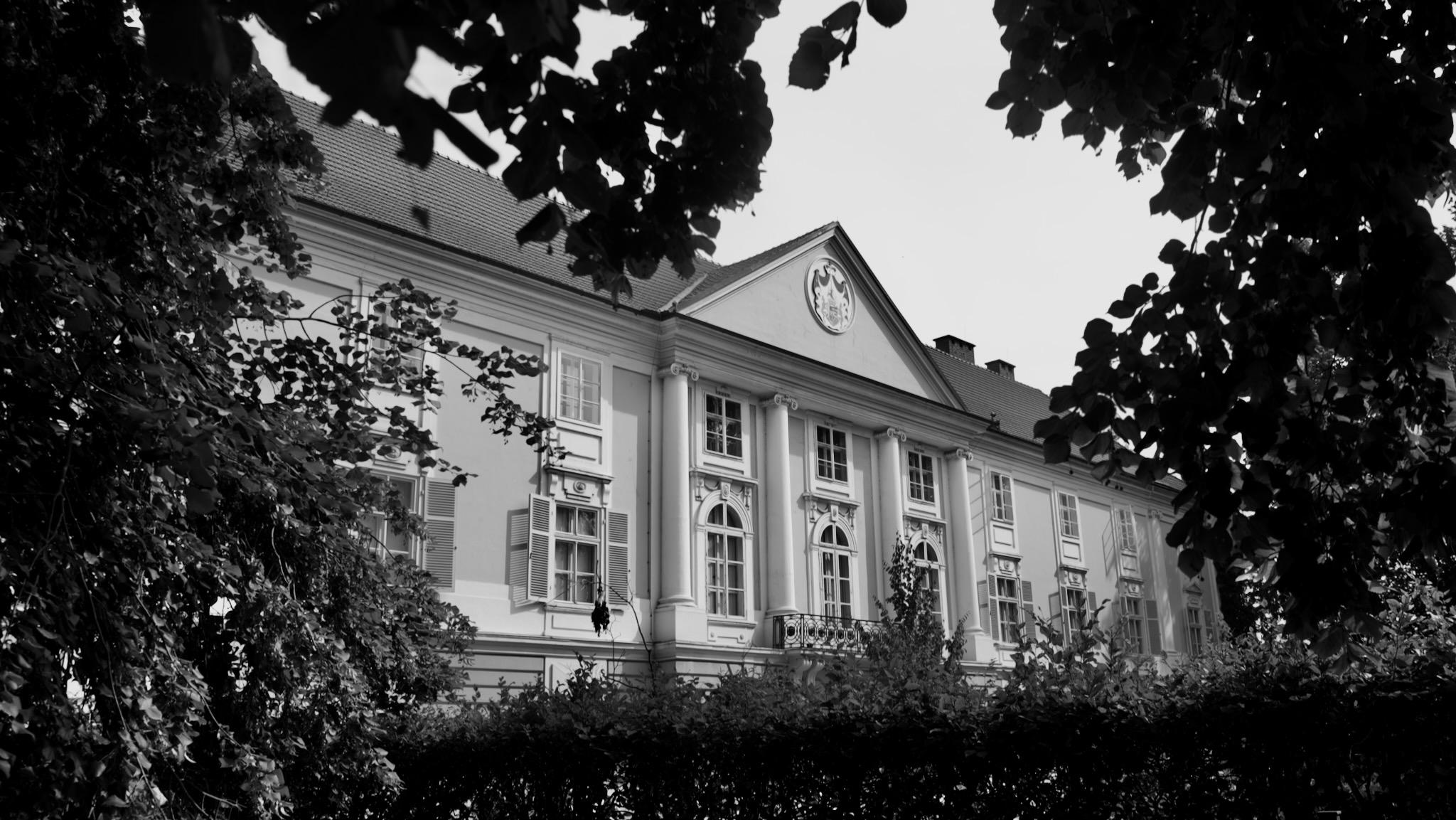 Picture of the Staremberg Castle in Eferding, Austria. It shows the southern facade in classical style. The building is framed by trees, branches and a hedge on the bottom. Photo is black and white.