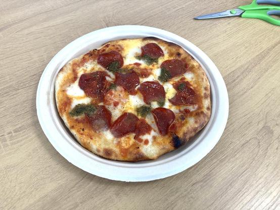 A pizza I made... it fits on a plate perfectly. 