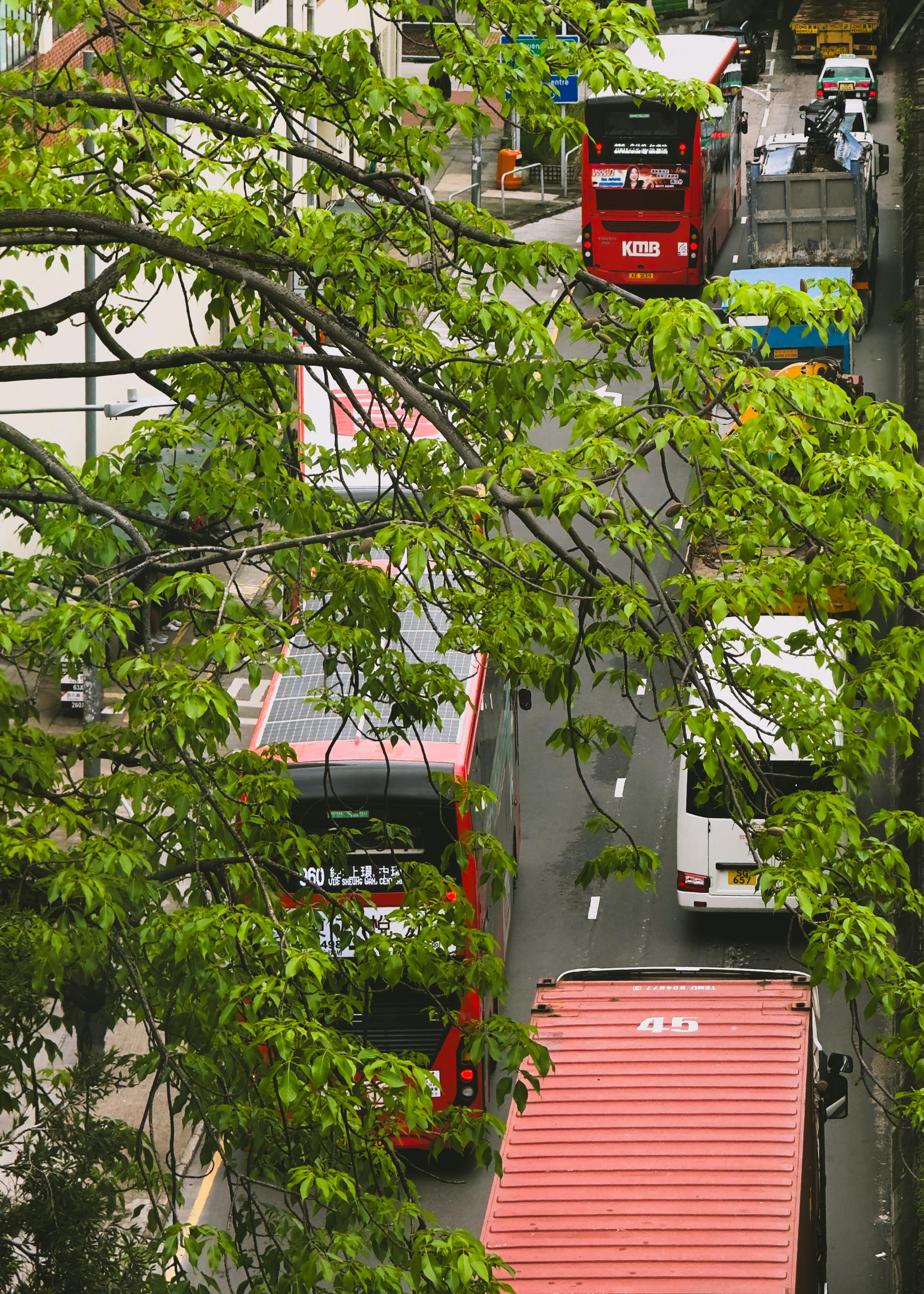繁忙的街道上，有公交车、卡车和私家车，绿色树叶遮挡部分车辆。