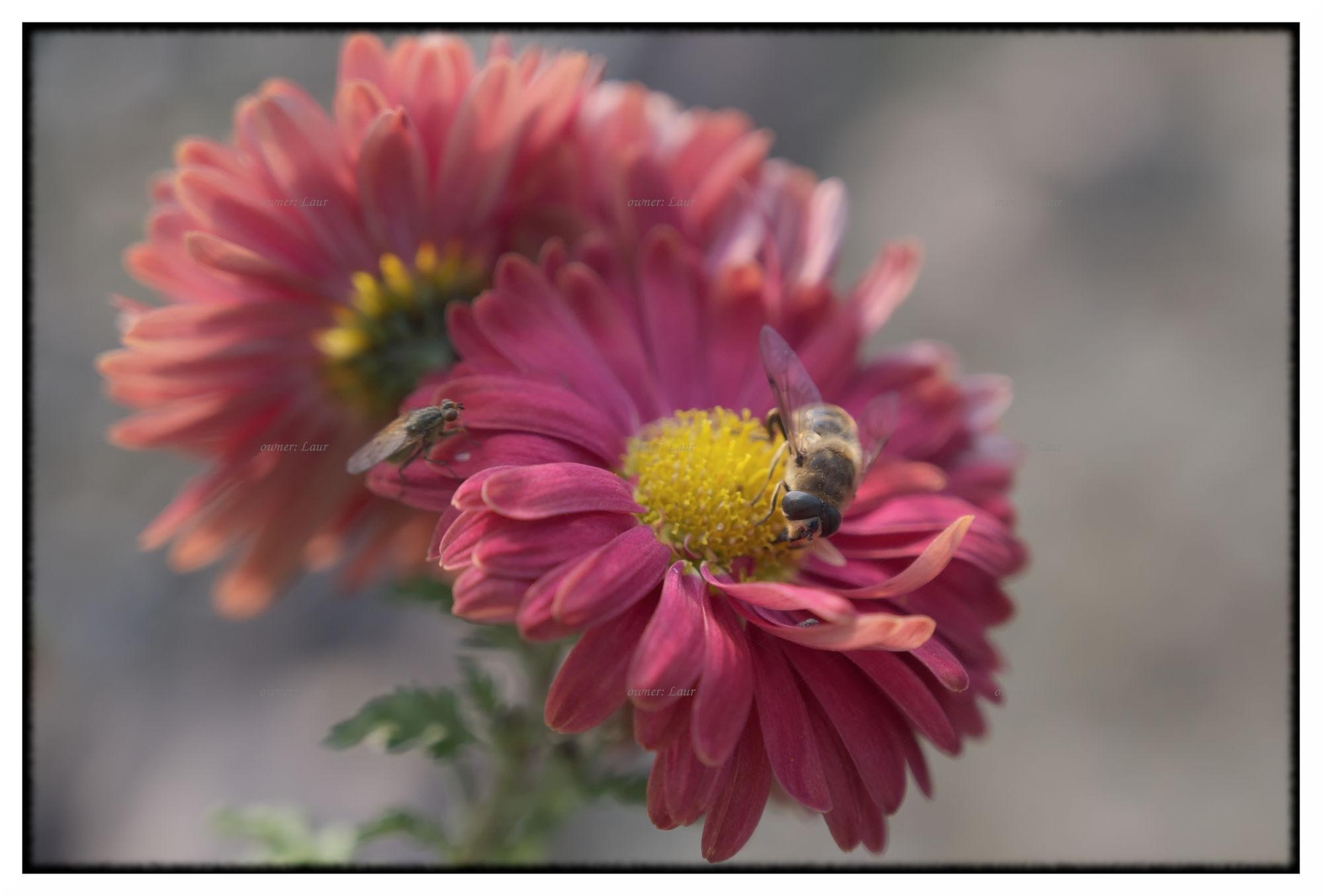 Nature, color, photo