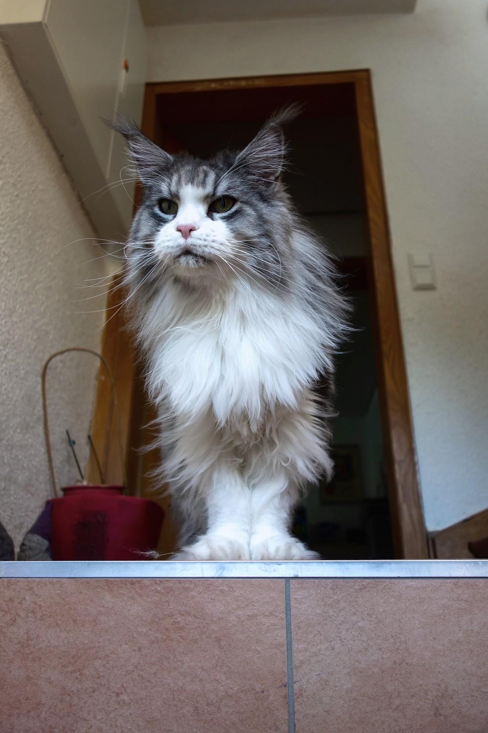 You shall not pass!
https://blubberfisch.org/2026/08/25/you-shall-not-pass-c26_199/