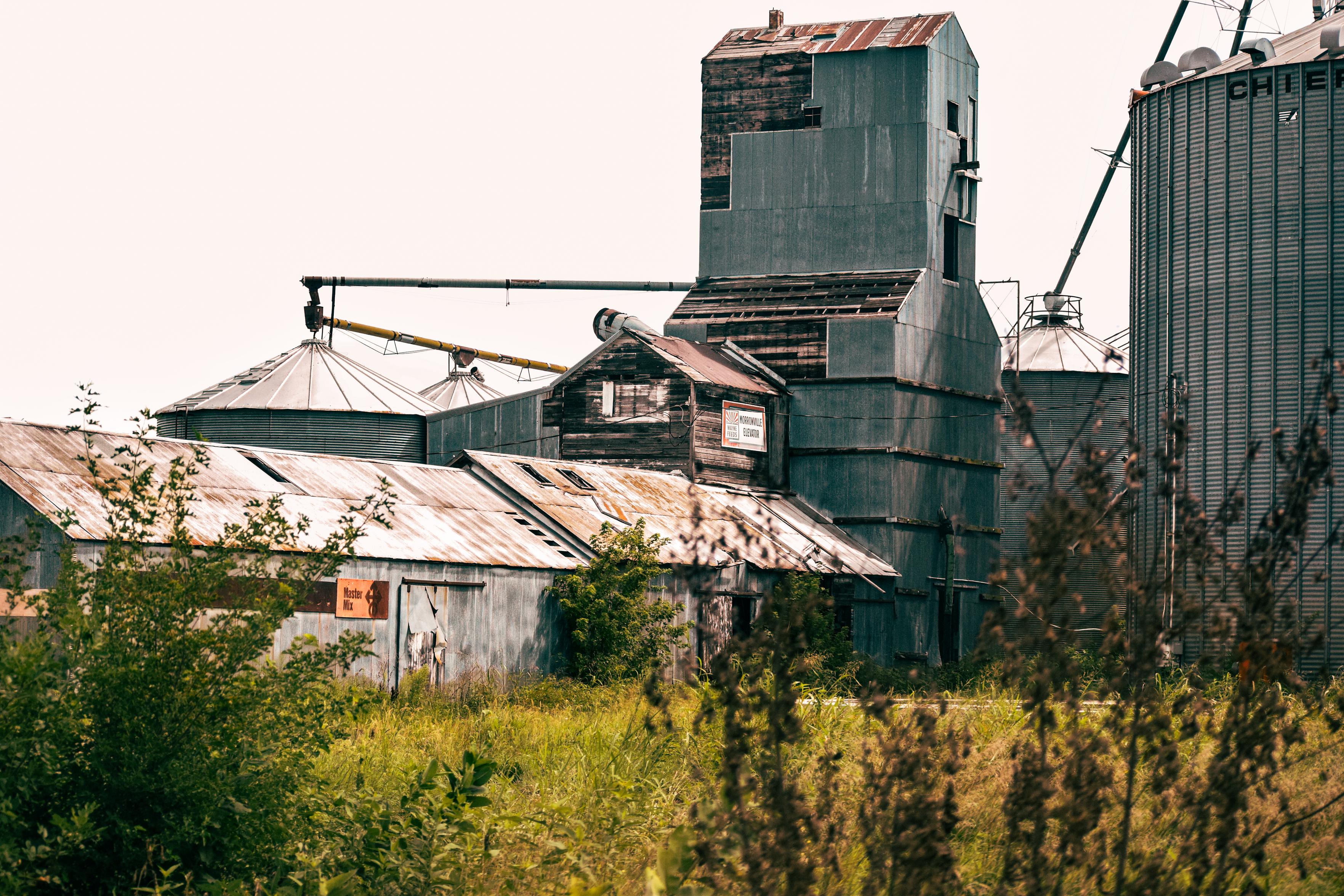 Weathered grain elevator, silos, and corrugated metal buildings stand amid overgrown weeds, creating a quiet, abandoned rural-industrial scene.