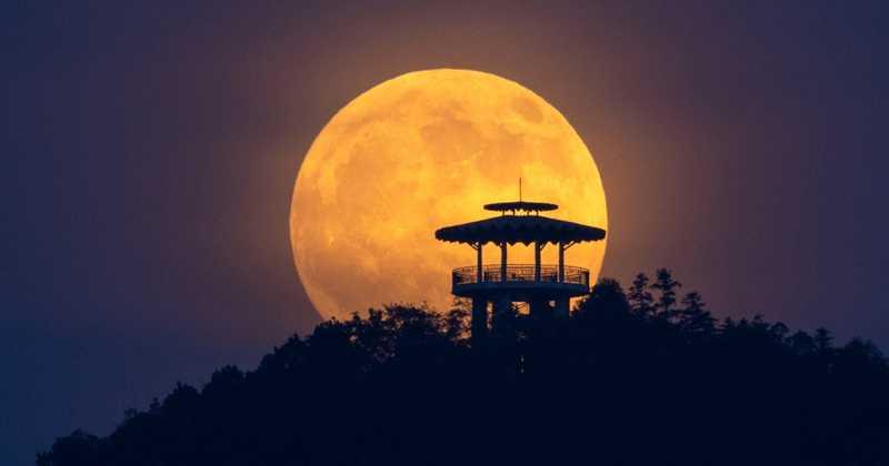 A near-total lunar eclipse will be visible across the U.S. Thursday nightEarths shadow will appear reddish orange on the lunar surface — the reason a lunar eclipse is also known as a blood moon. #News #Earth #Europe #Africa