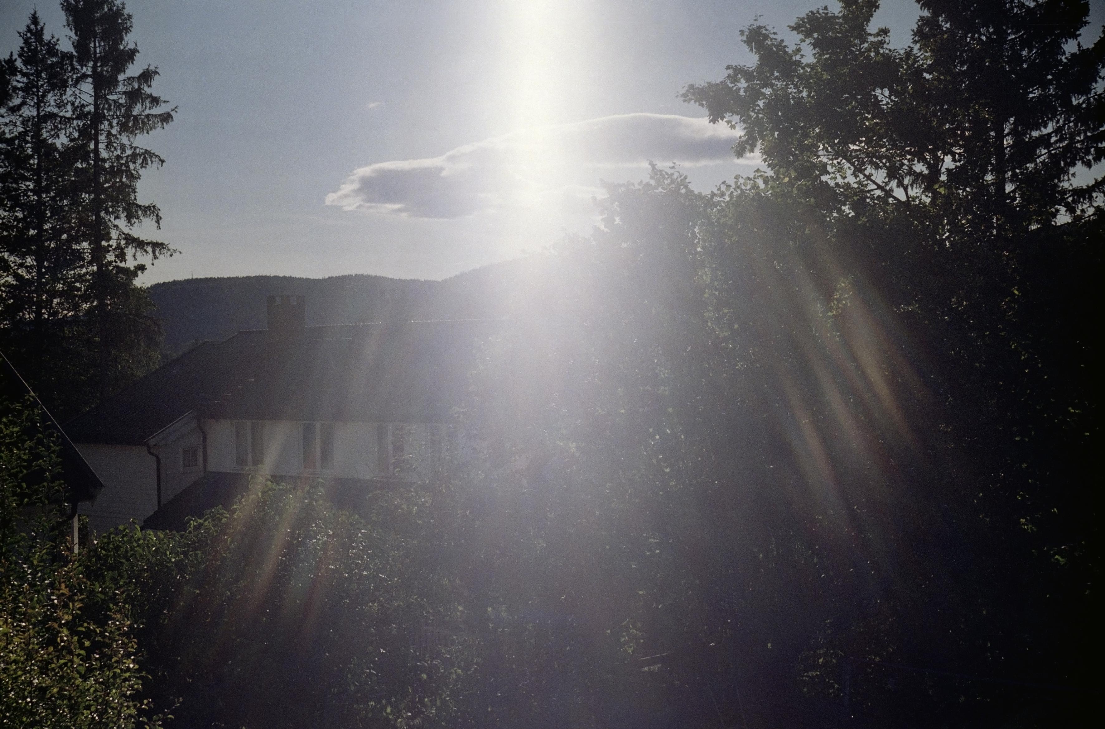 Summer sunshine over trees and a house. "God rays" effect from shooting the photo directly into the light.