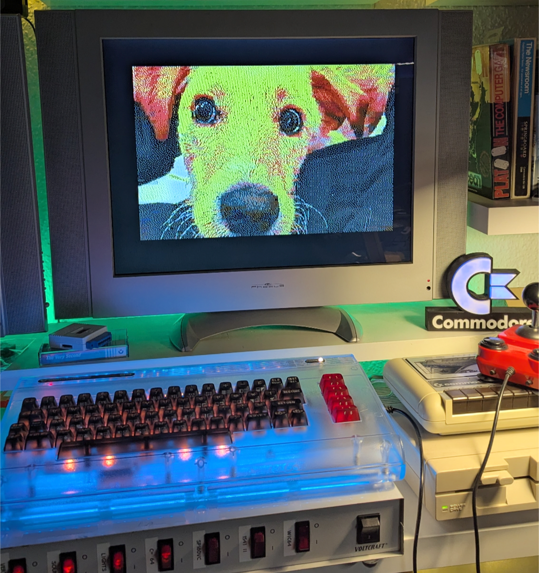 Luna on a Commodore 64 Screen. With big eyes and a big nose pointing to the camera ❤️