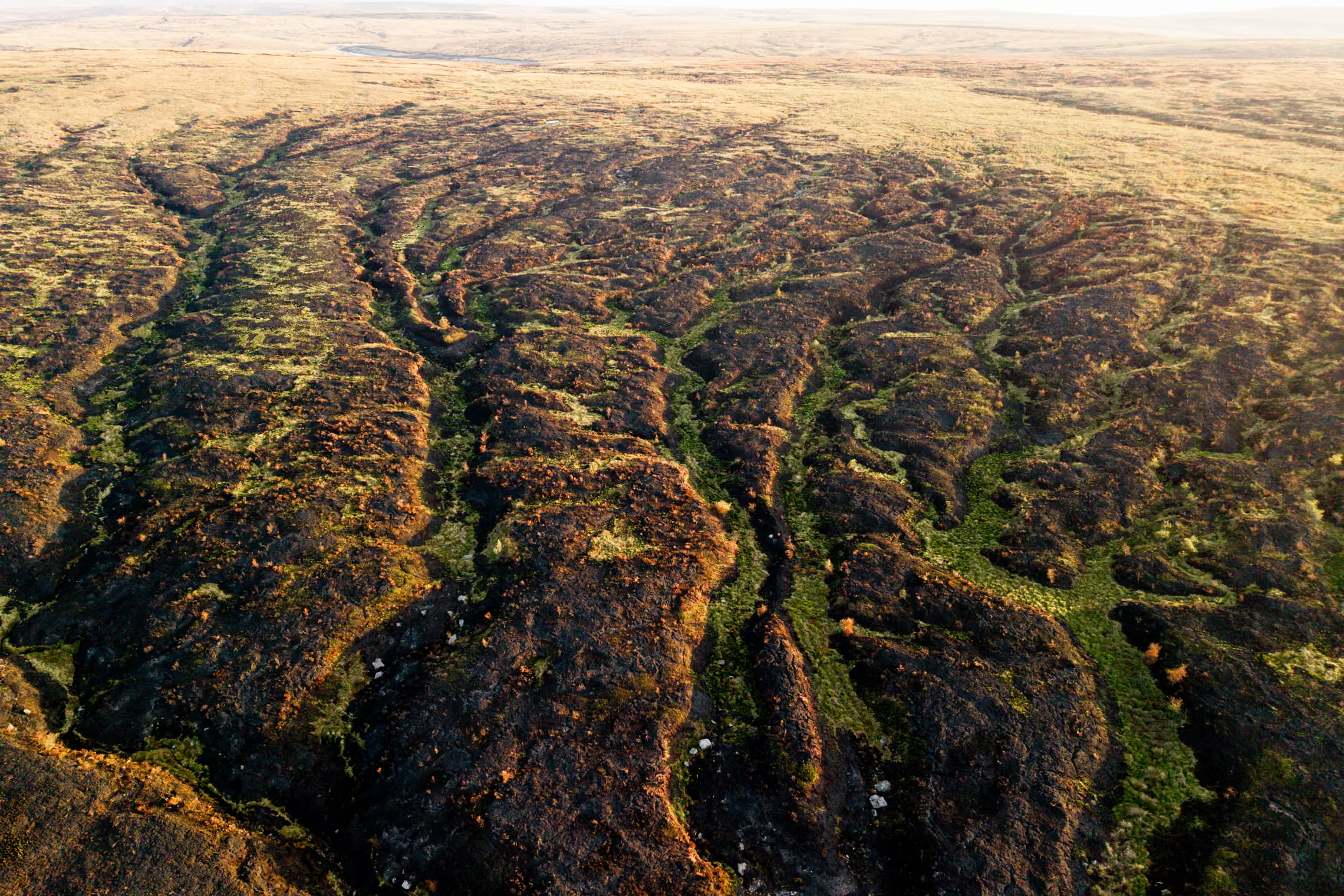 Aerial view of burnt moorland.