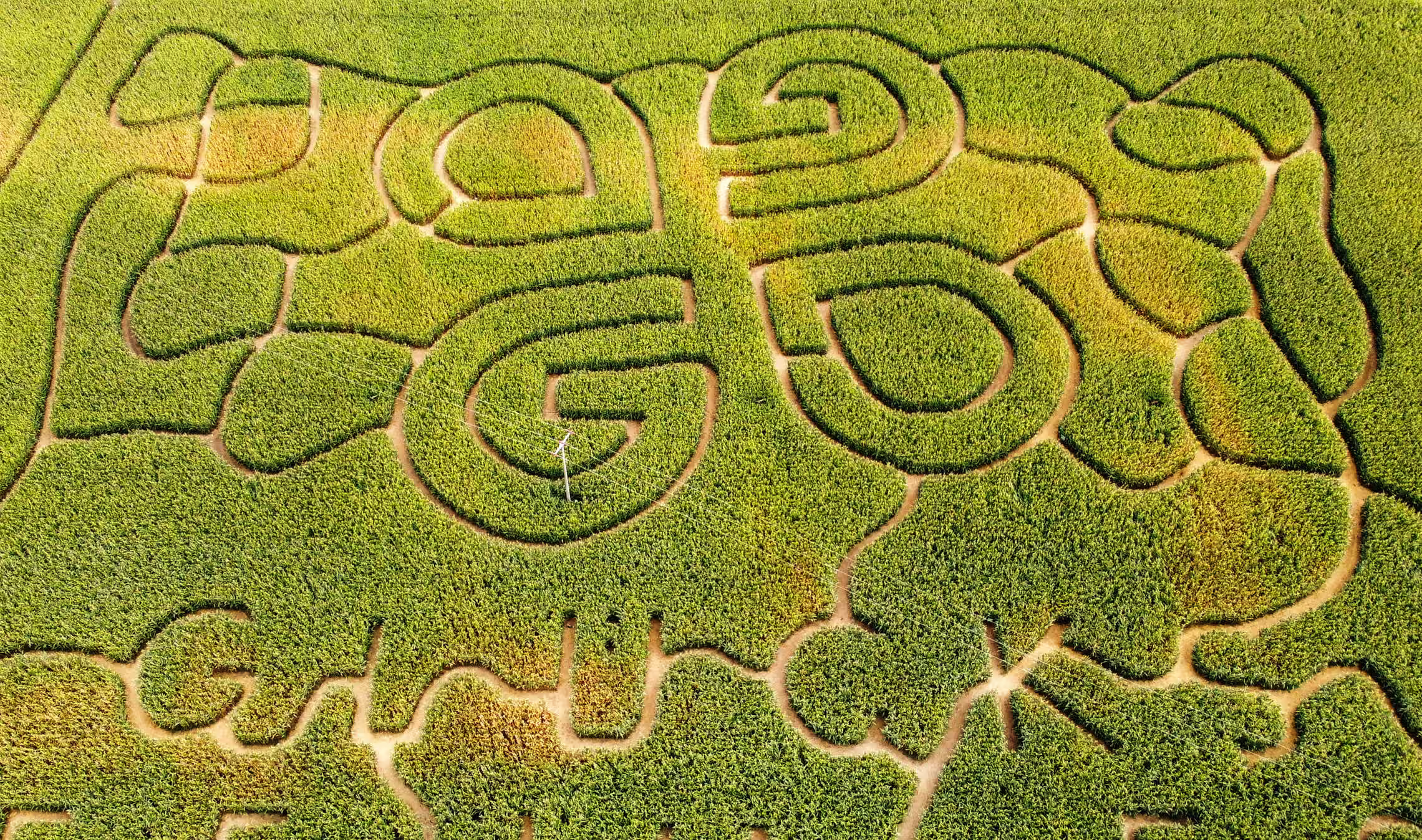 An aerial image of a corn maze forming the word Glücksgefühle (feelings of happiness).