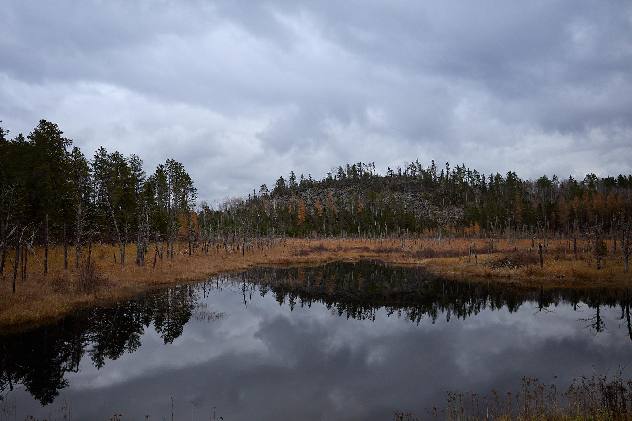 A landscape featuring a calm pond reflecting the cloudy sky and surrounding trees. The foreground consists of tall grasses and sparse, leafless trees. In the background, a rocky hill is visible, partially covered with coniferous trees, while the sky is overcast with gray clouds.
