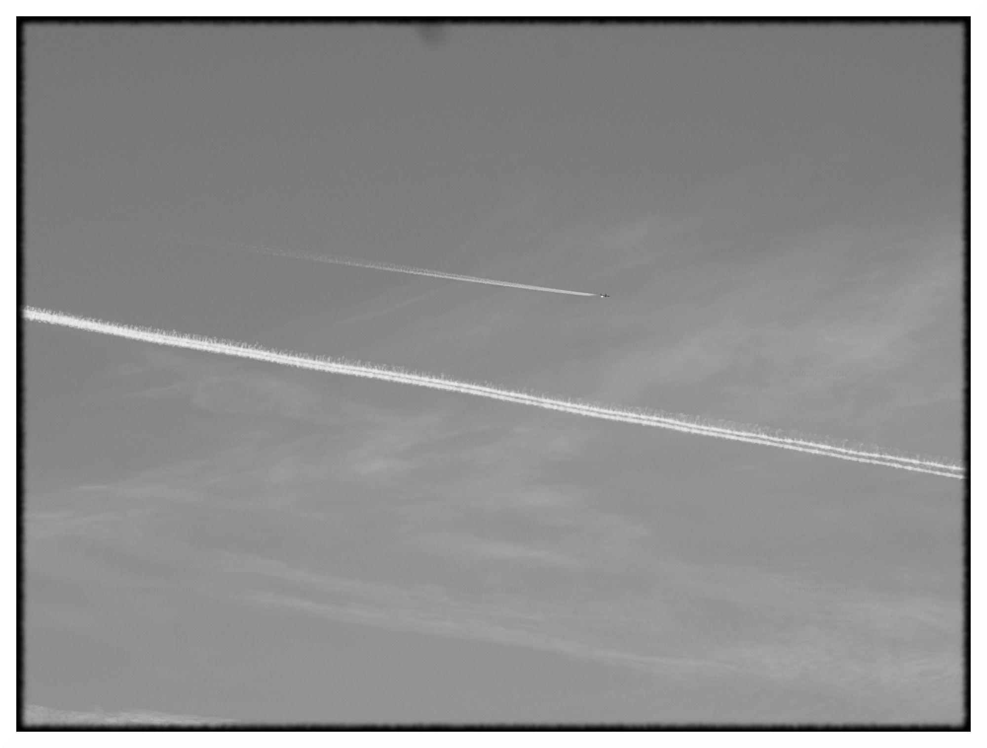 Airplane, monochrome, photo