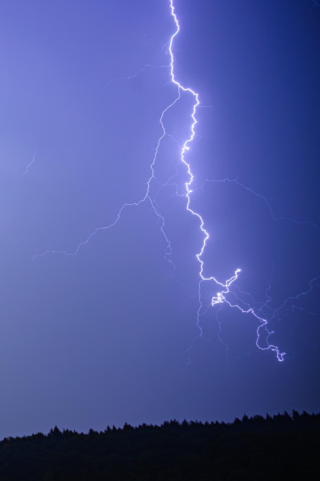 A single complicated lightning strike coming down from the top of the picture, but not striking the ground. The sky is cloudy and blue-grey, while the hillside of the wooded valley is seen in silhouette below.