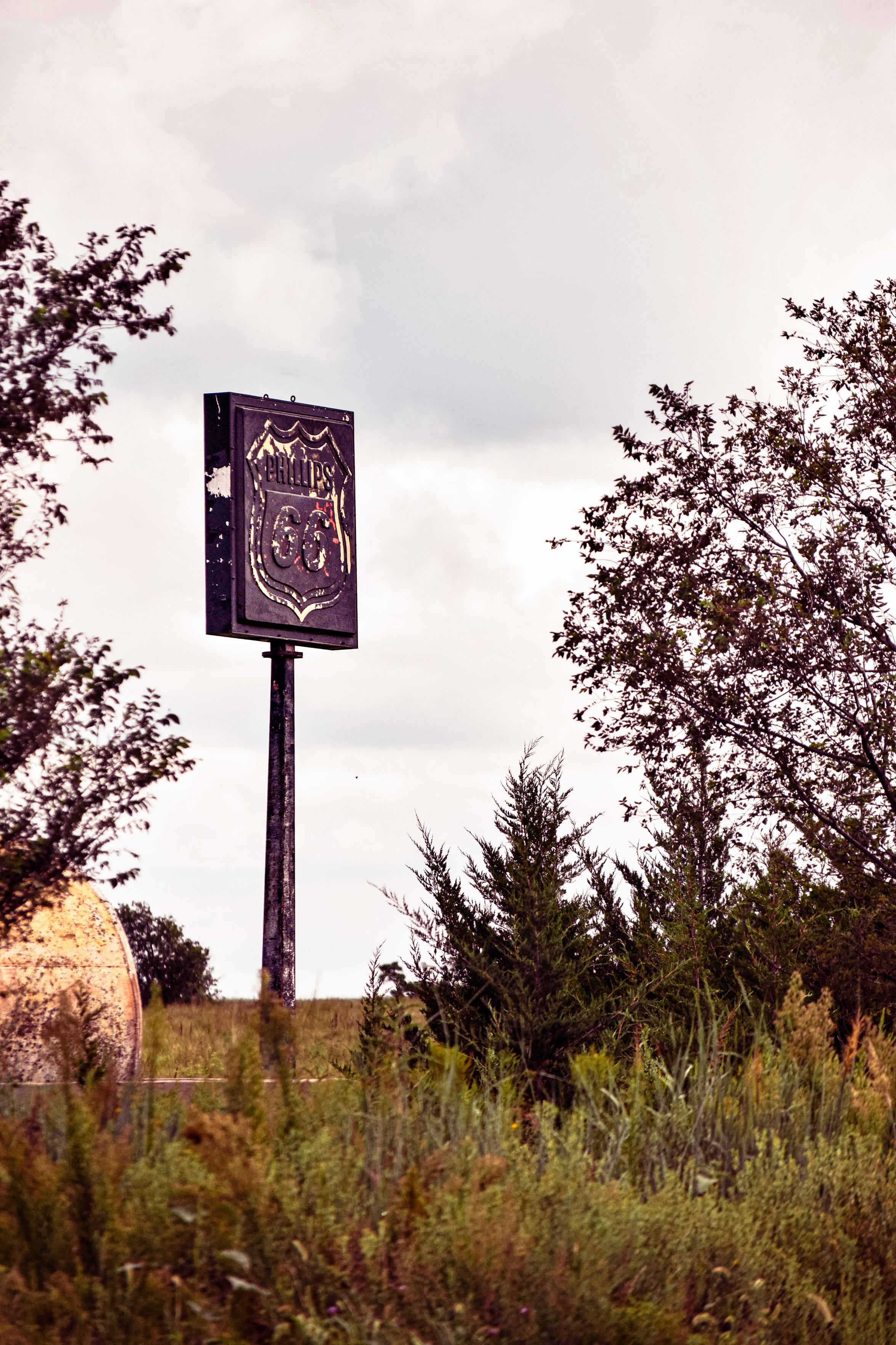 Weathered Phillips 66 sign on a tall post rises above a weedy rural field, framed by trees beneath a cloudy sky, creating a quiet, moody scene.