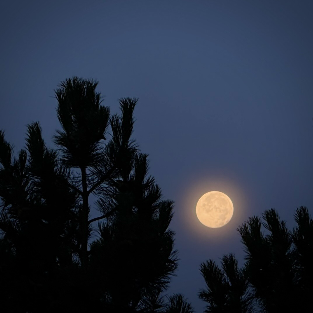 Mond, Moon