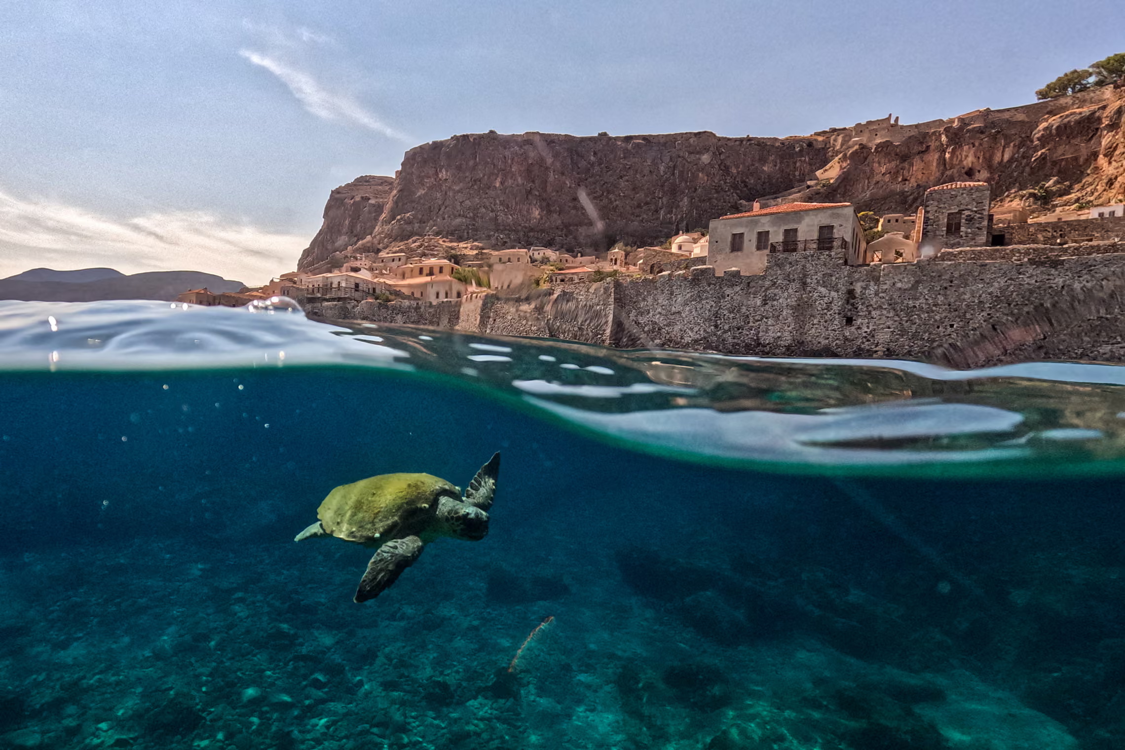A loggerhead sea turtle swims near Monemvasia, southern Greece, with the medieval castle town rising above the sea.