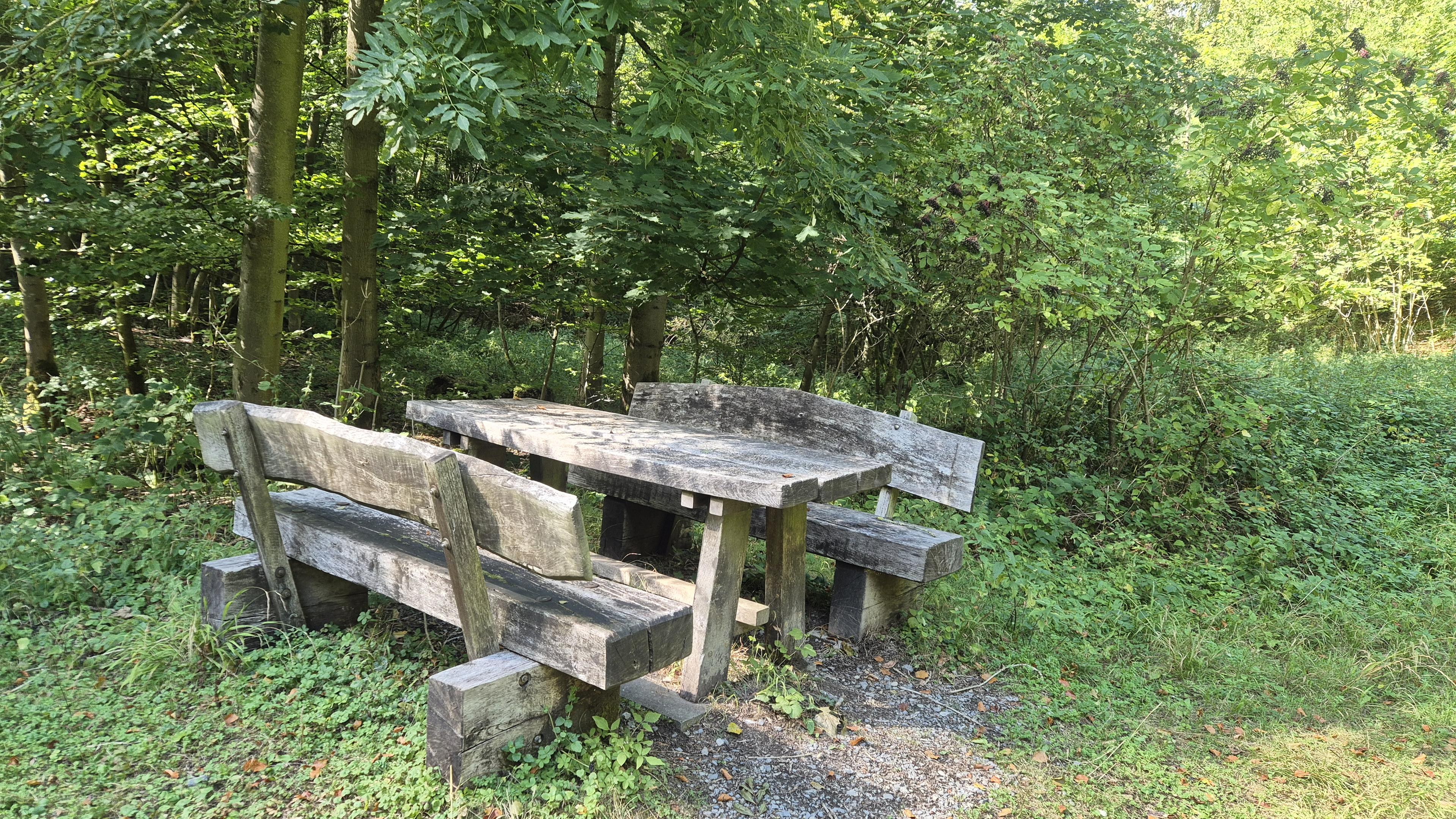 Eine Ruhebank auf einer Lichtung wartet auf den müden Wanderer. /
A bench in a clearing awaits the weary walker.