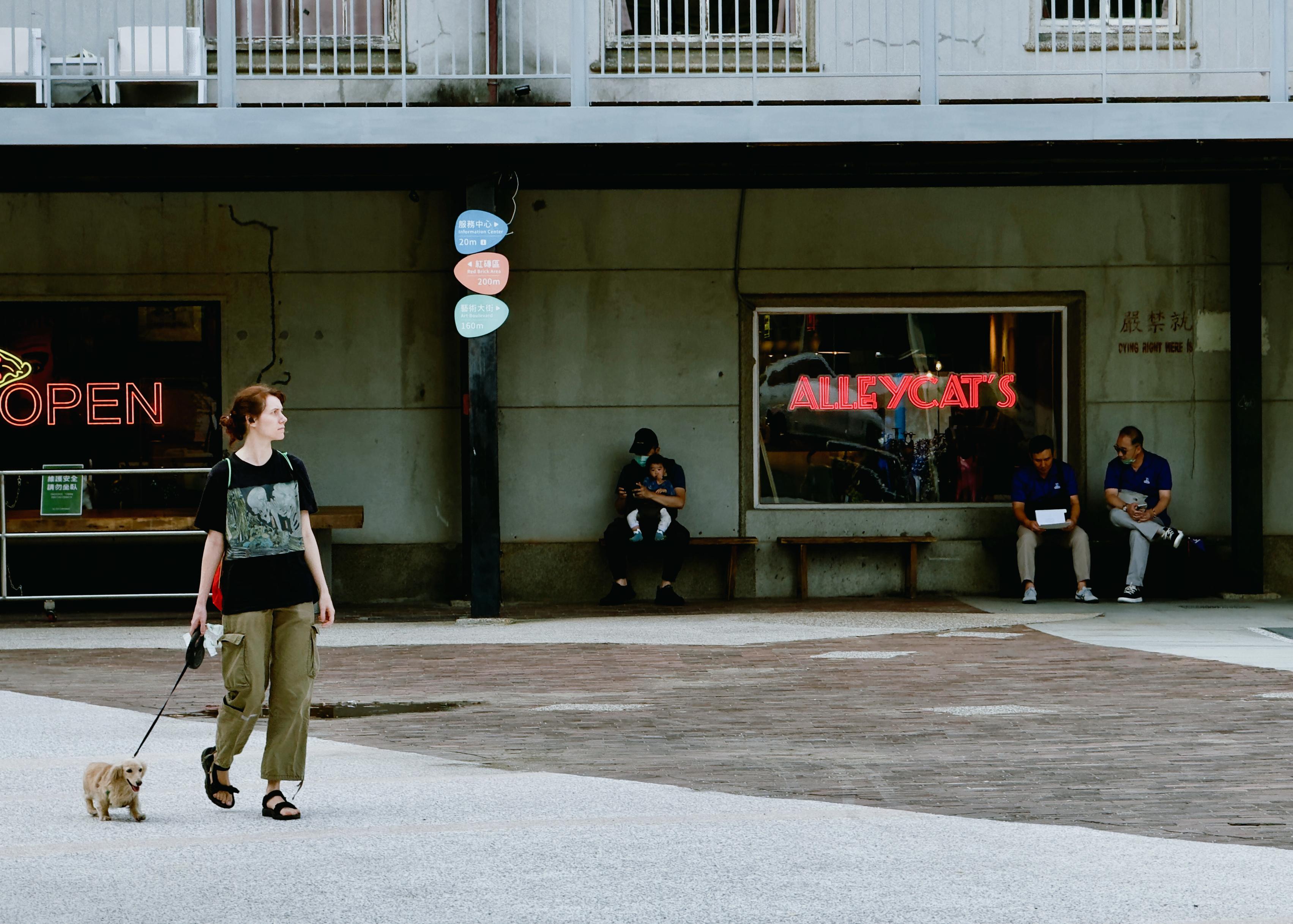 A woman walks a small dog in front of a building with a neon sign that reads "ALLEY CAT'S," while two men sit on a bench and a woman sits on the ground.