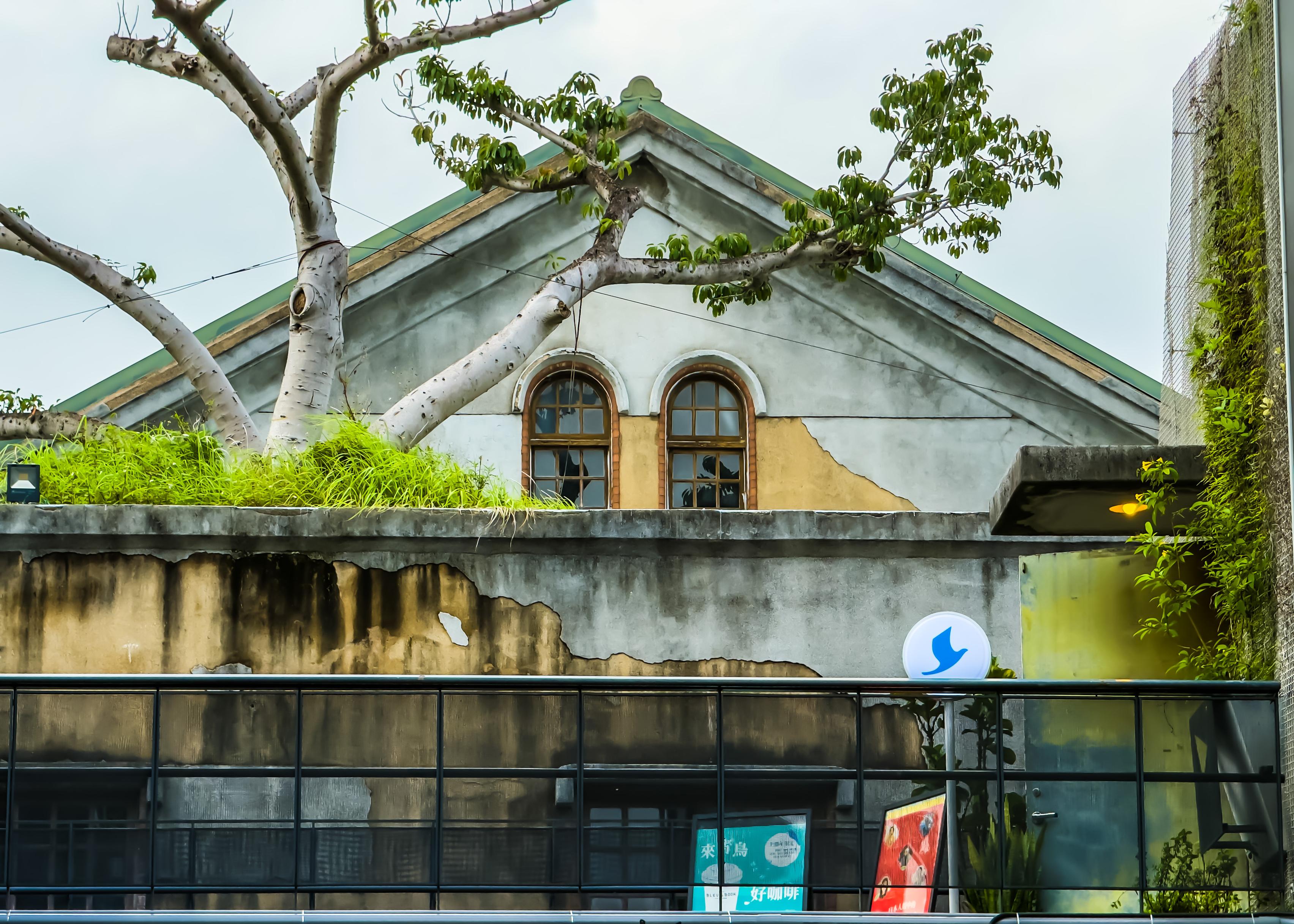 An old, weathered building with two arched windows, partially covered in green plants, surrounded by trees and a black metal fence.
