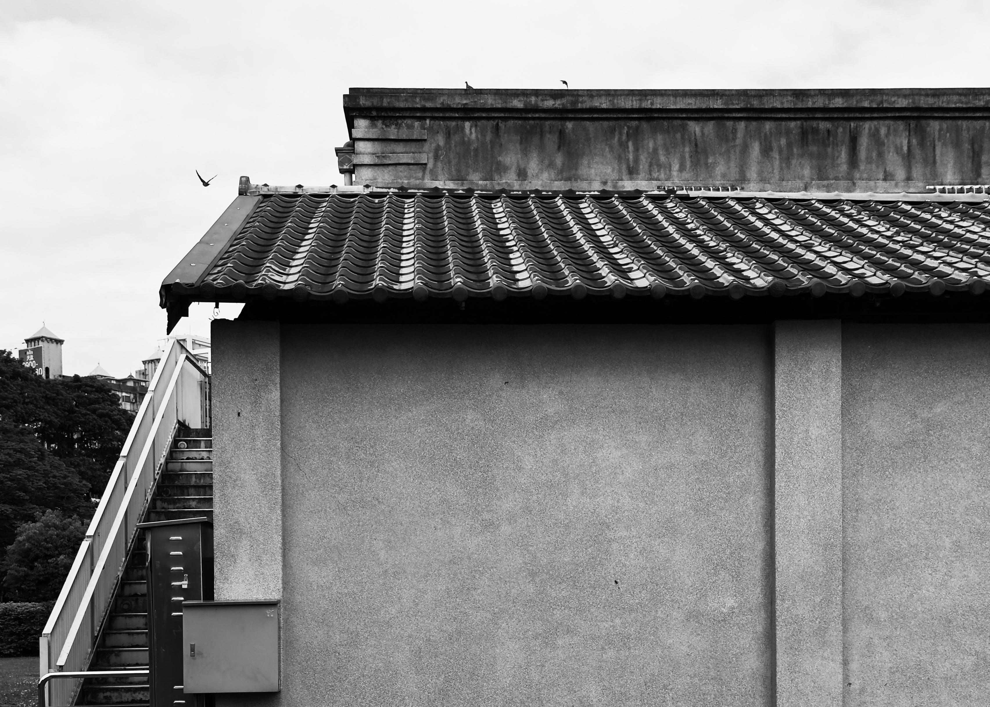 A black and white photo of a building with a tiled roof, a wall, stairs, and birds flying in the sky.