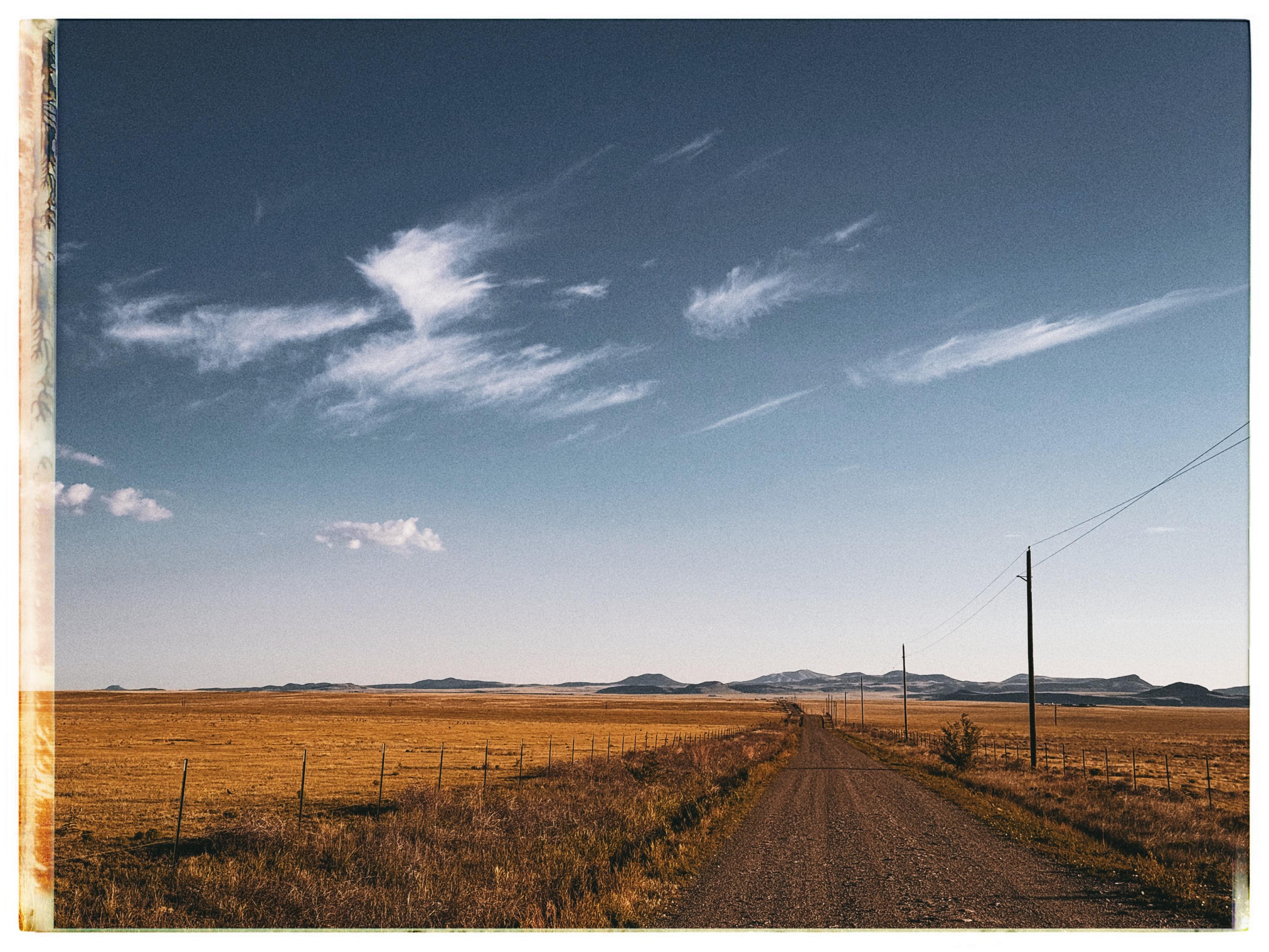 An isolated dirt road through New Mexico pastureland -- with mountains in the distance.