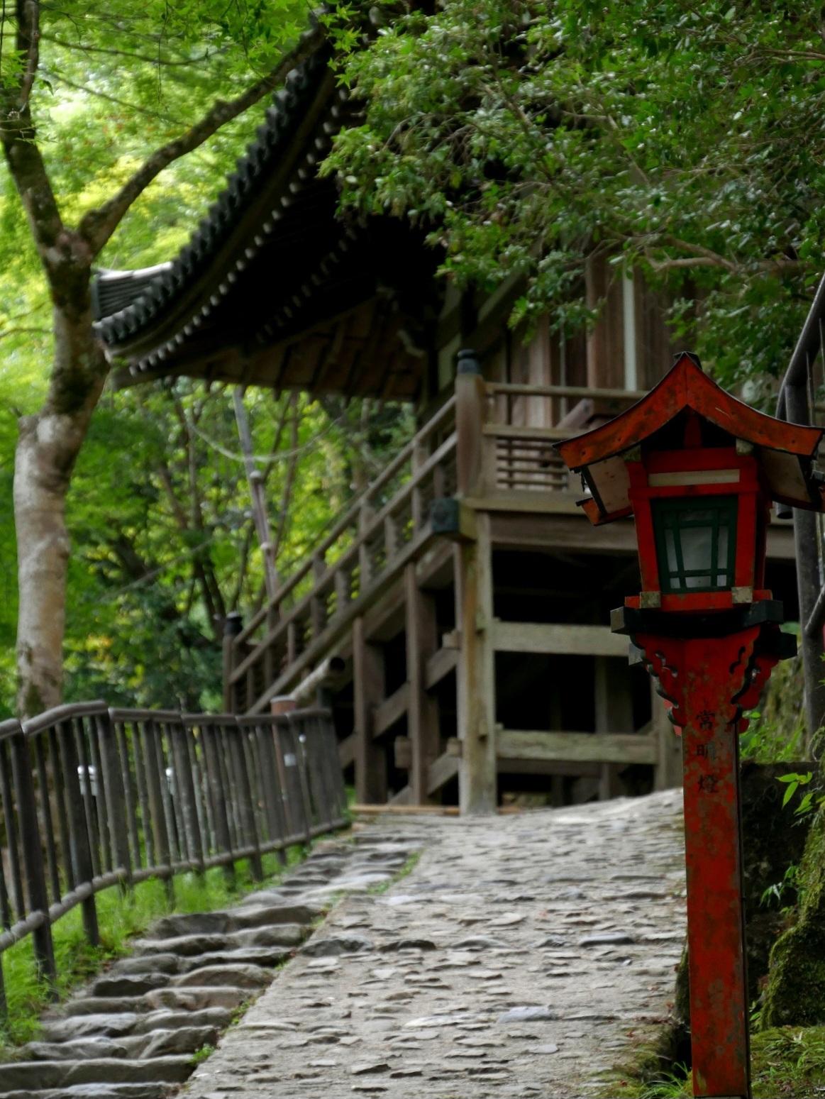 Steiniger Aufgang im Otagi Nenbutsuji-Schrein bei Kyoto. An der Seite steht eine rote Laterne. Kyoto 2024