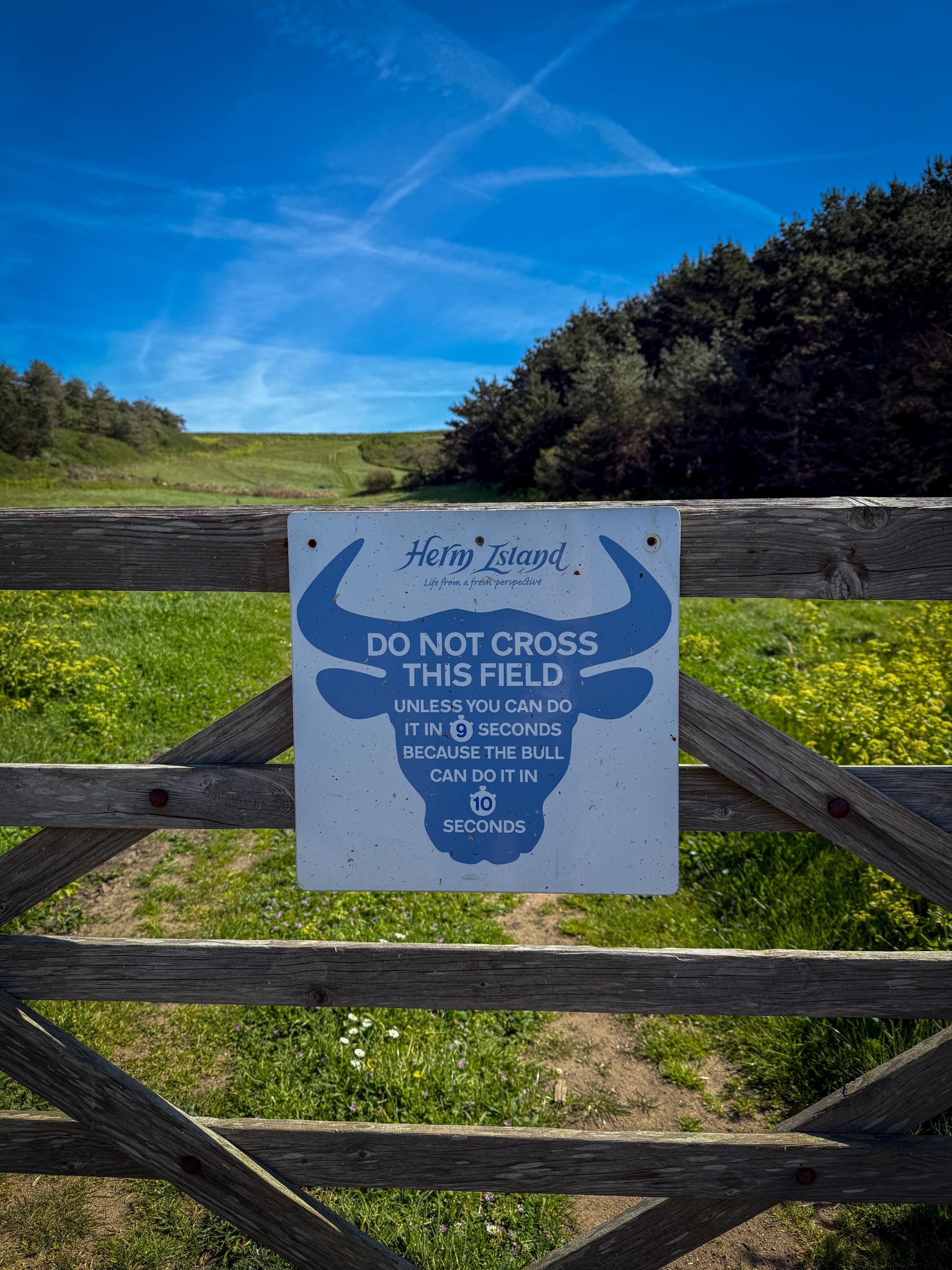 Ein robustes Holztor mit einem markanten Warnschild dominiert die Mitte dieses vertikalen Fotos und trennt den Betrachter von einer weitläufigen, grünen Weide. Das weisse Schild, verziert mit einer blauen Stiersilhouette und humorvollem englischen Text, warnt davor, das Feld zu betreten, es sei denn, man ist schneller als ein Stier. Dahinter erstreckt sich ein sanft ansteigender Hügel mit sattgrünem Gras, durchzogen von einem Trampelpfad und gesprenkelt mit leuchtend gelben Blüten. Am Horizont säumen dunkle Nadelbäume die Landschaft unter einem strahlend blauen Himmel, der von feinen weissen Kondensstreifen durchzogen ist.