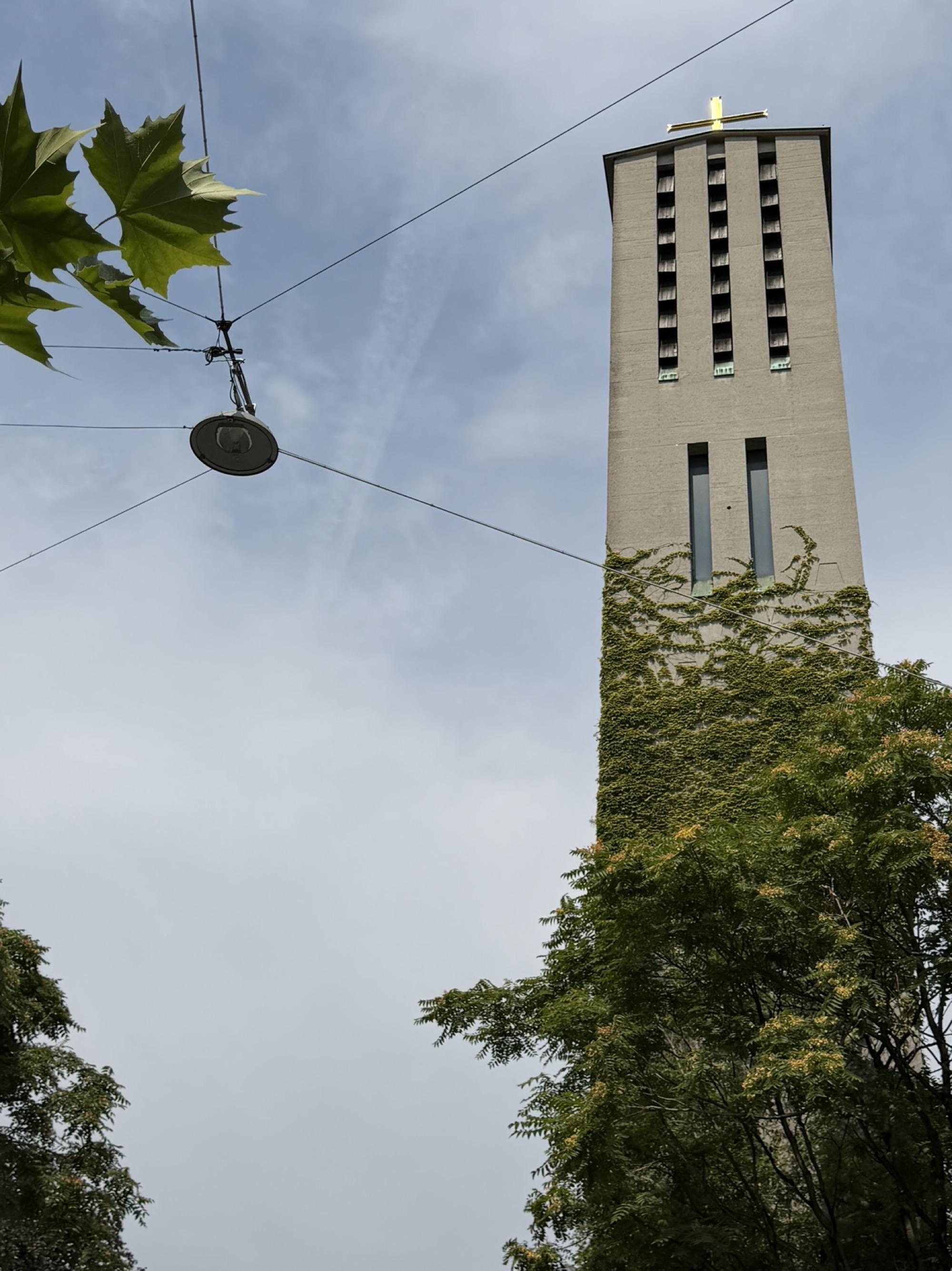 A church tower partly covered in ivy rises against a pale blue sky, seen from below between dark tree branches. Sunlight catches the upper structure and cross, while part of a streetlamp is visible at the edge of the frame