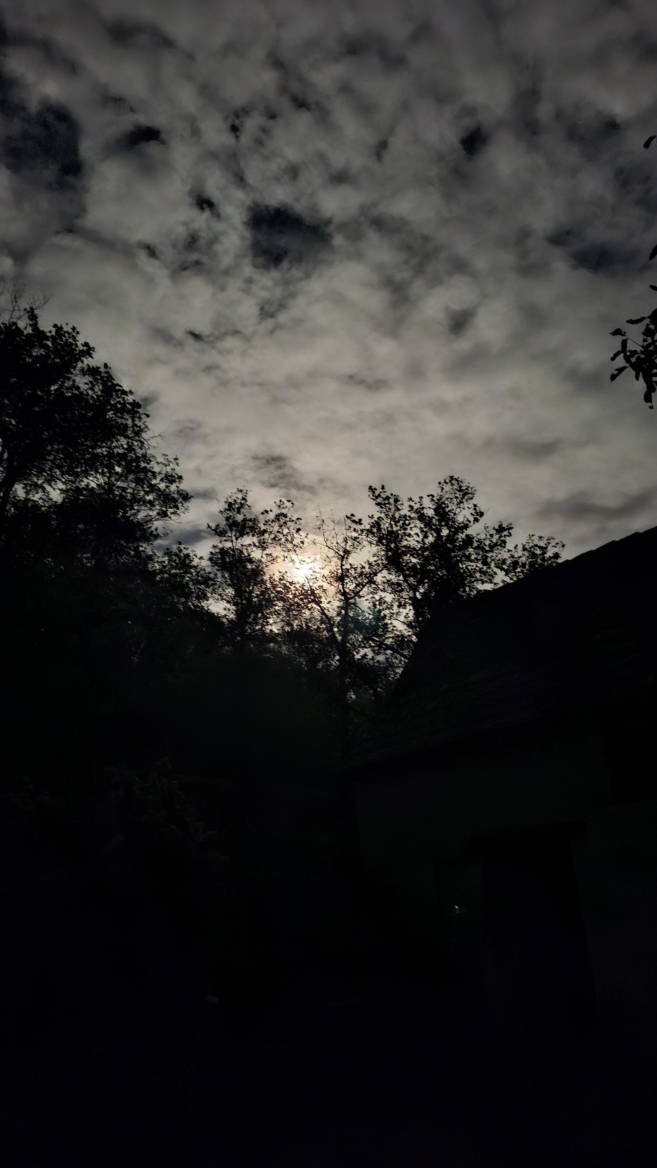 Lune cachée derrière la cime des arbres avec un ciel cotonneux