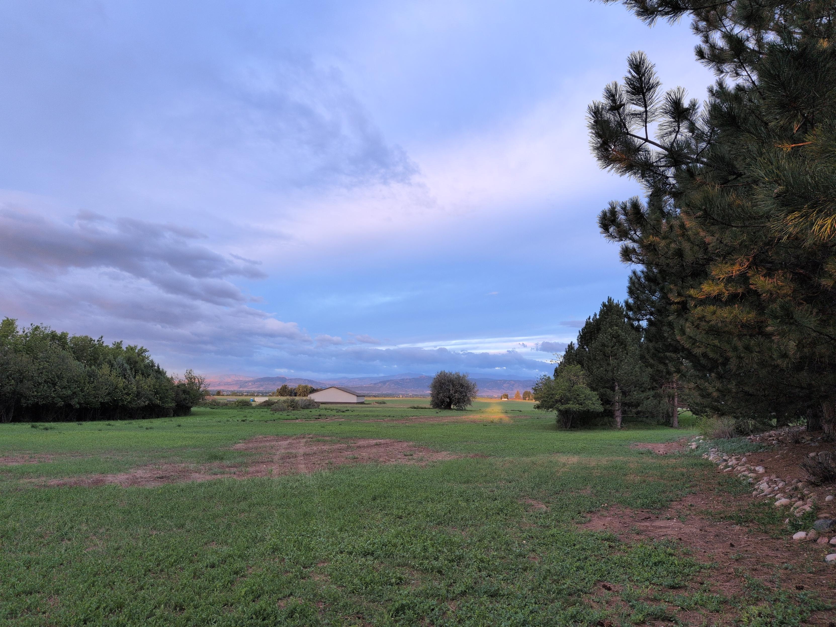 A valley opens up between two rows of trees along County Road 48, which becomes Vine Dr. in the city. It reveals a single tree in a field across from a large barn in the middle distance, the city of Fort Collins several miles out from there, and the foothills of the Rocky Mountains stalwart behind it.