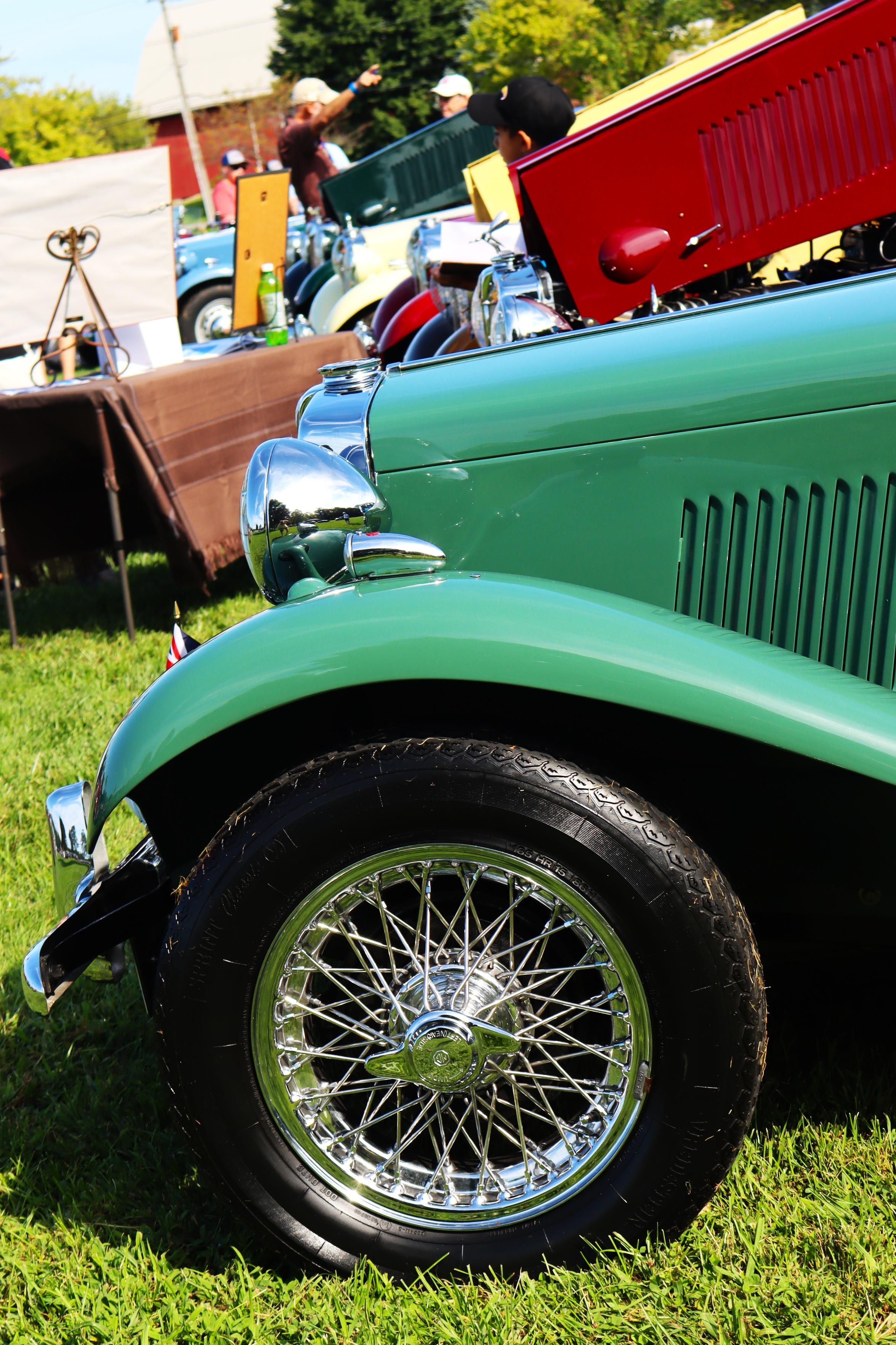 Photograph of the front wheel and fender of a green 1950s MG TD roadster with at least a half dozen others lined up behind it.