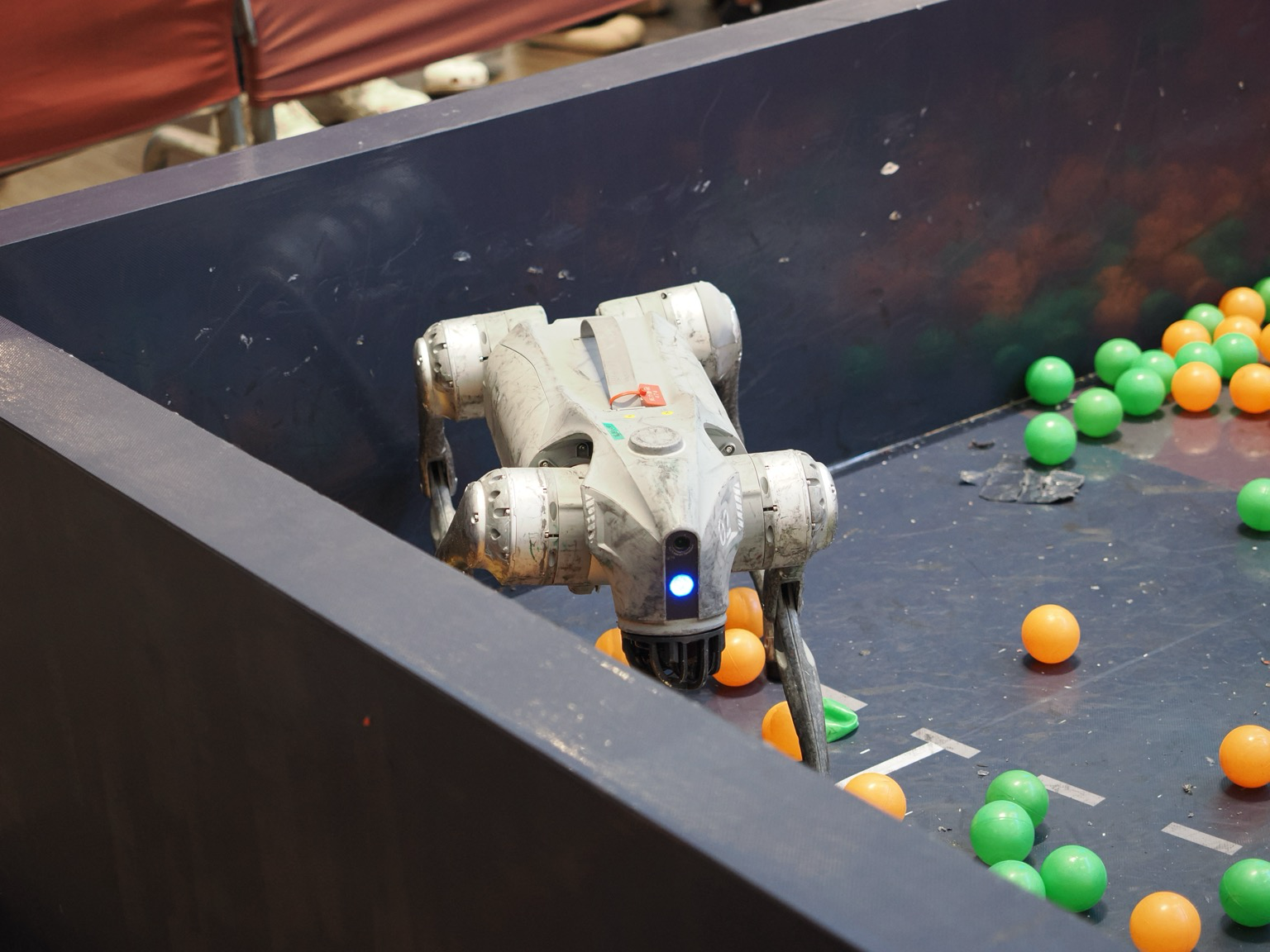 A scuffed up grey dog-style robot in a corner. On the floor around it are some ball pit style balls