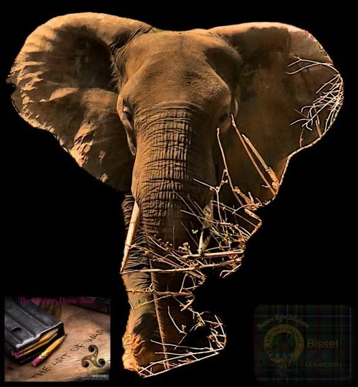 My Big Five Wars "logo" . Not AI!!!! Took the elephant photo in the Kruger, then cut the image you see out with GIMP. Then put a black layer under it. Flattened and added 'The Art of War". I am using the "pen" right now, but see that the "sword" will be needed... soon. Or we will lose what little wildlife we have left!! Fact. Read my blogs and tell me different?