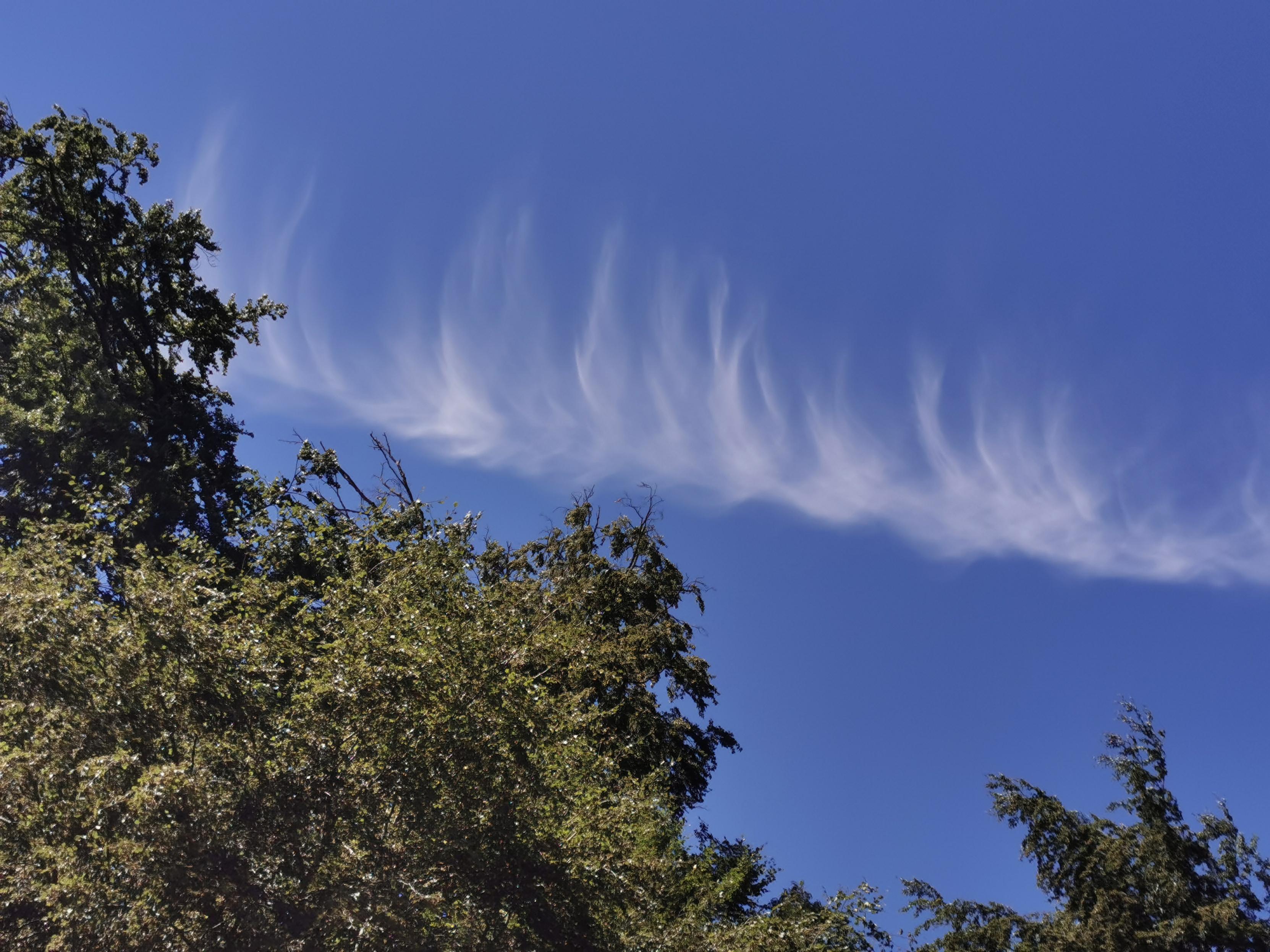 Nuage ressemblant à une plume, très délicat.